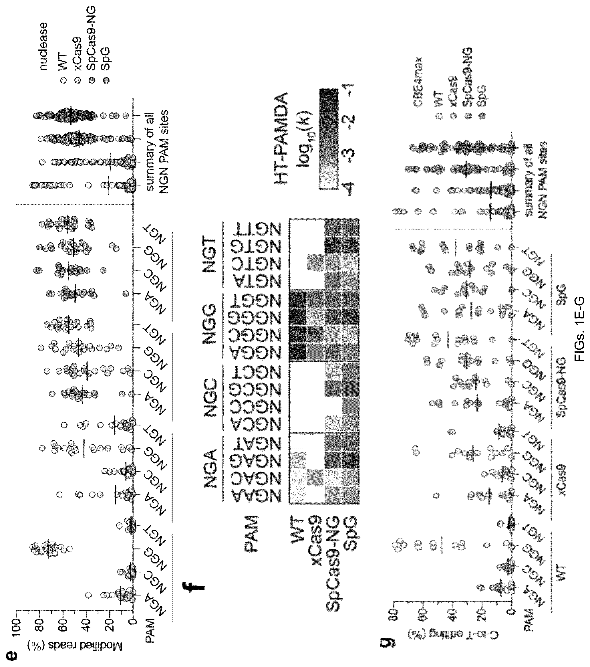 Patent US12312613 Figure 3 – Unconstrained genome targeting with near-PAMless engineered CRISPR-Cas9 variants