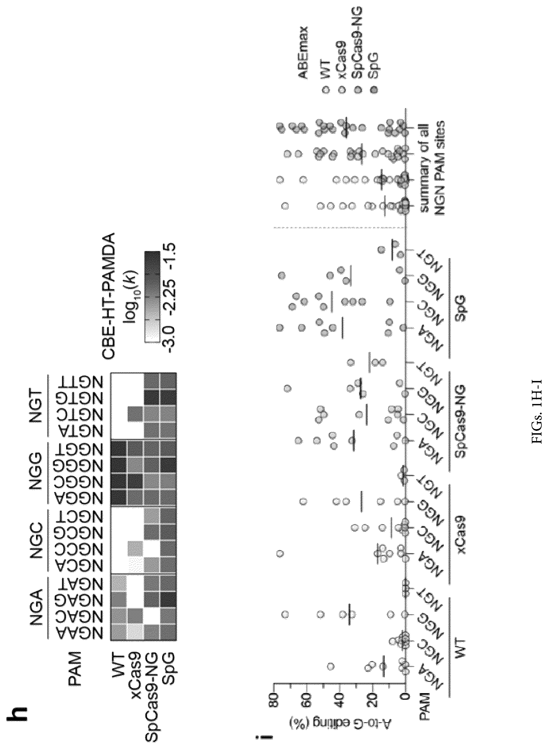 Patent US12312613 Figure 4 – Unconstrained genome targeting with near-PAMless engineered CRISPR-Cas9 variants