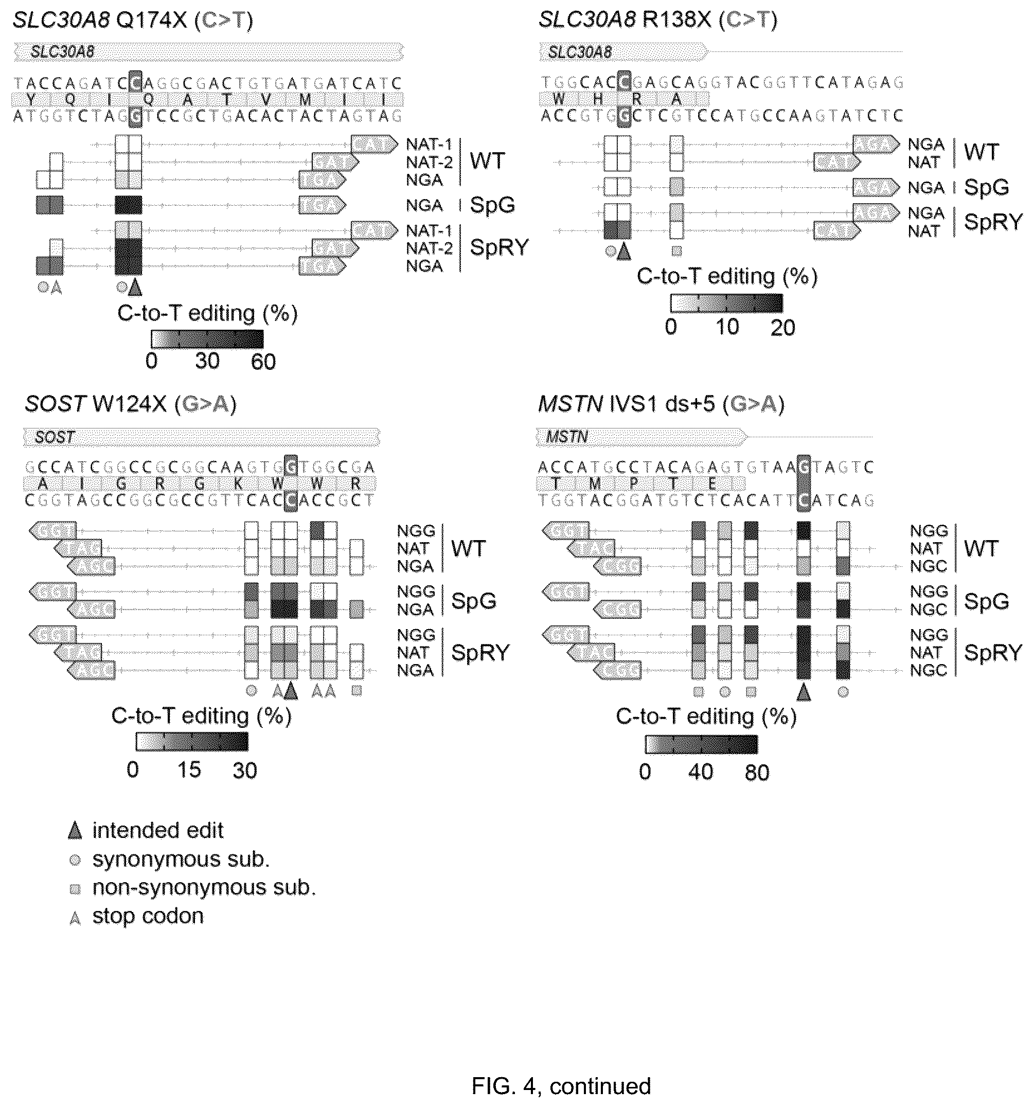 Patent US12312613 Figure 8 – Unconstrained genome targeting with near-PAMless engineered CRISPR-Cas9 variants