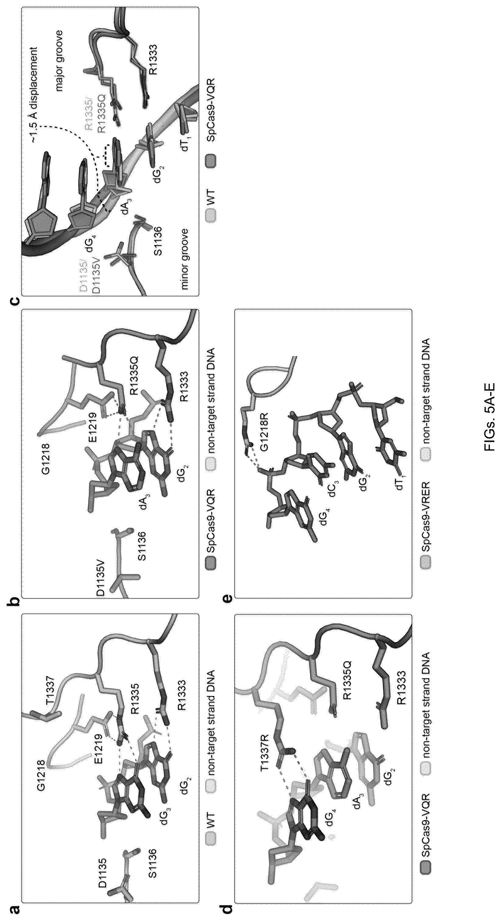 Patent US12312613 Figure 9 – Unconstrained genome targeting with near-PAMless engineered CRISPR-Cas9 variants