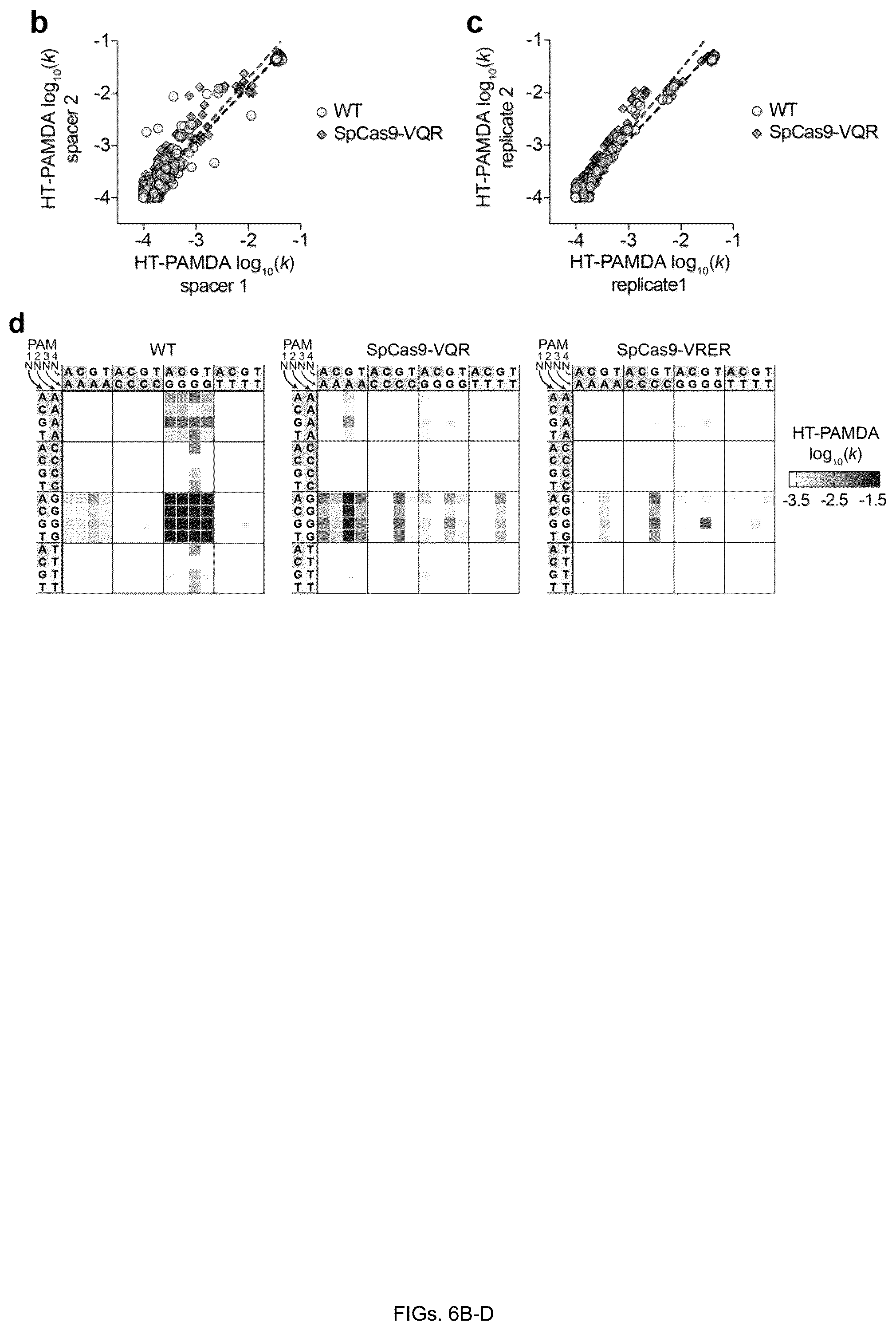 Patent US12312613 Figure 13 – Unconstrained genome targeting with near-PAMless engineered CRISPR-Cas9 variants