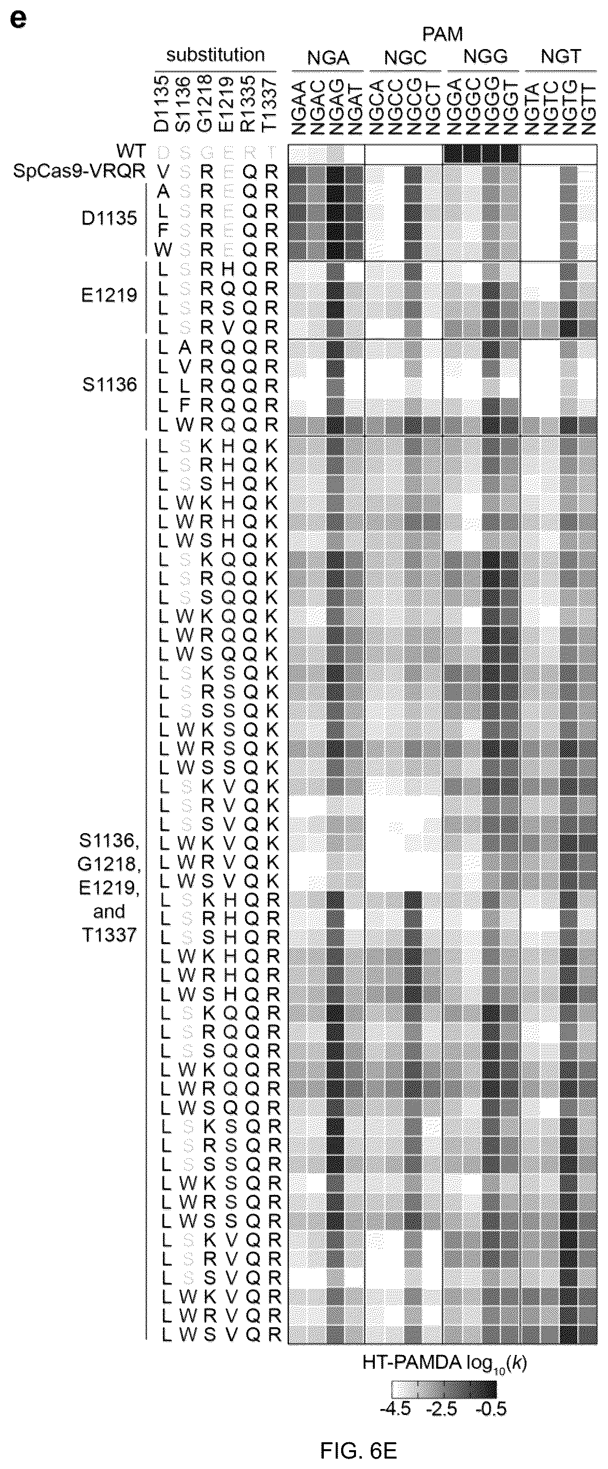 Patent US12312613 Figure 14 – Unconstrained genome targeting with near-PAMless engineered CRISPR-Cas9 variants