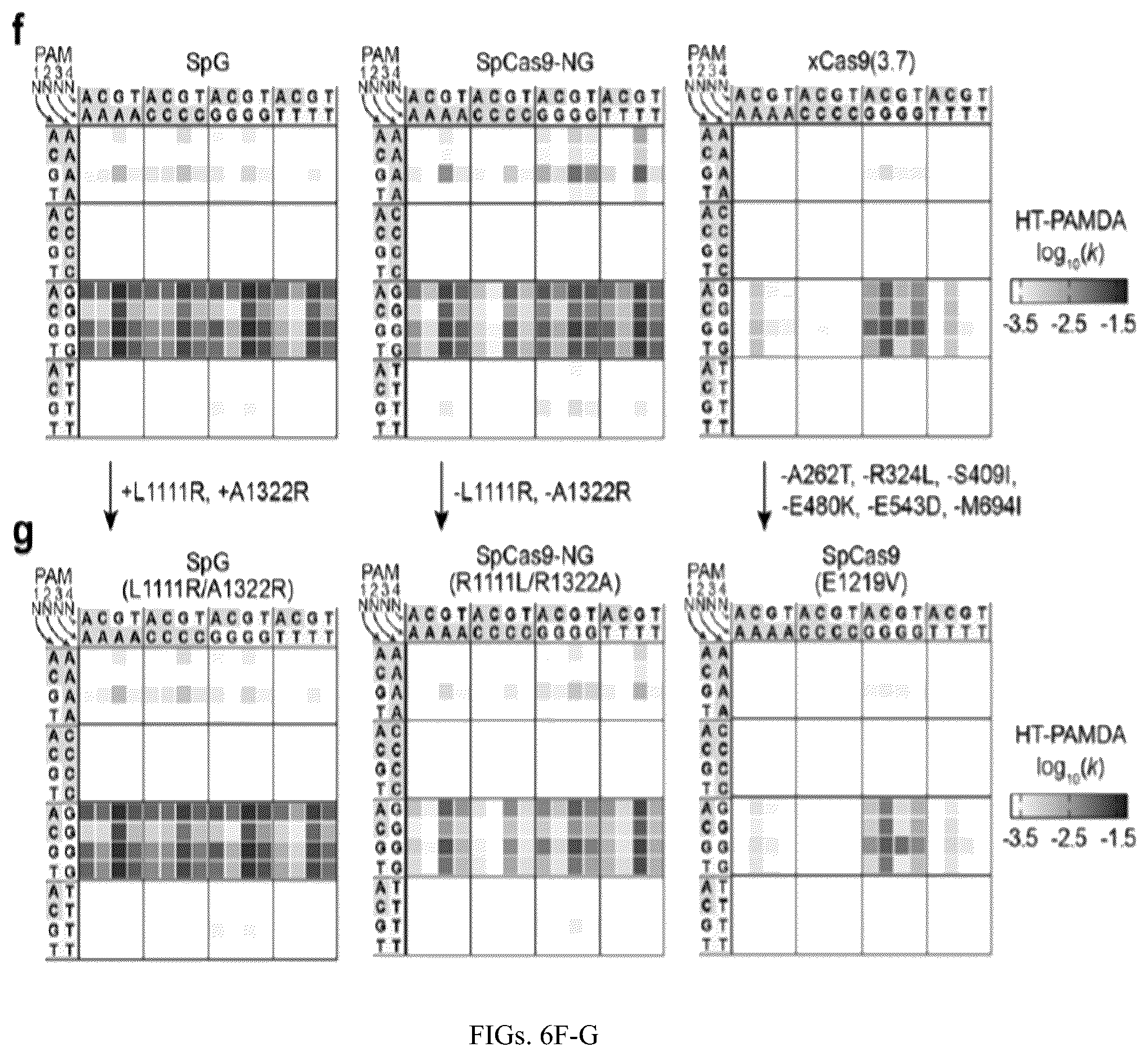 Patent US12312613 Figure 15 – Unconstrained genome targeting with near-PAMless engineered CRISPR-Cas9 variants