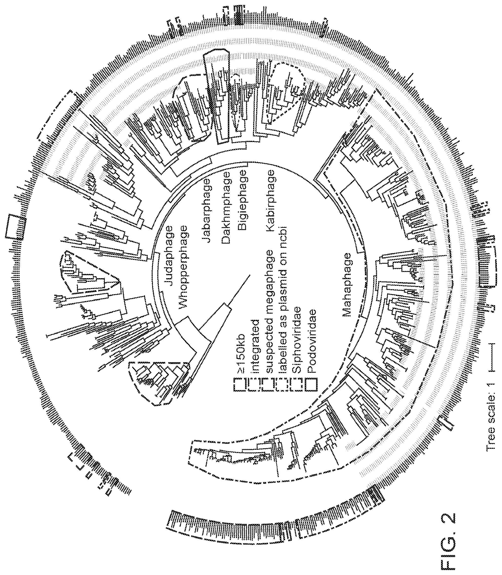 Patent US12312614 Figure 3 – CRISPR-Cas effector polypeptides and methods of use thereof