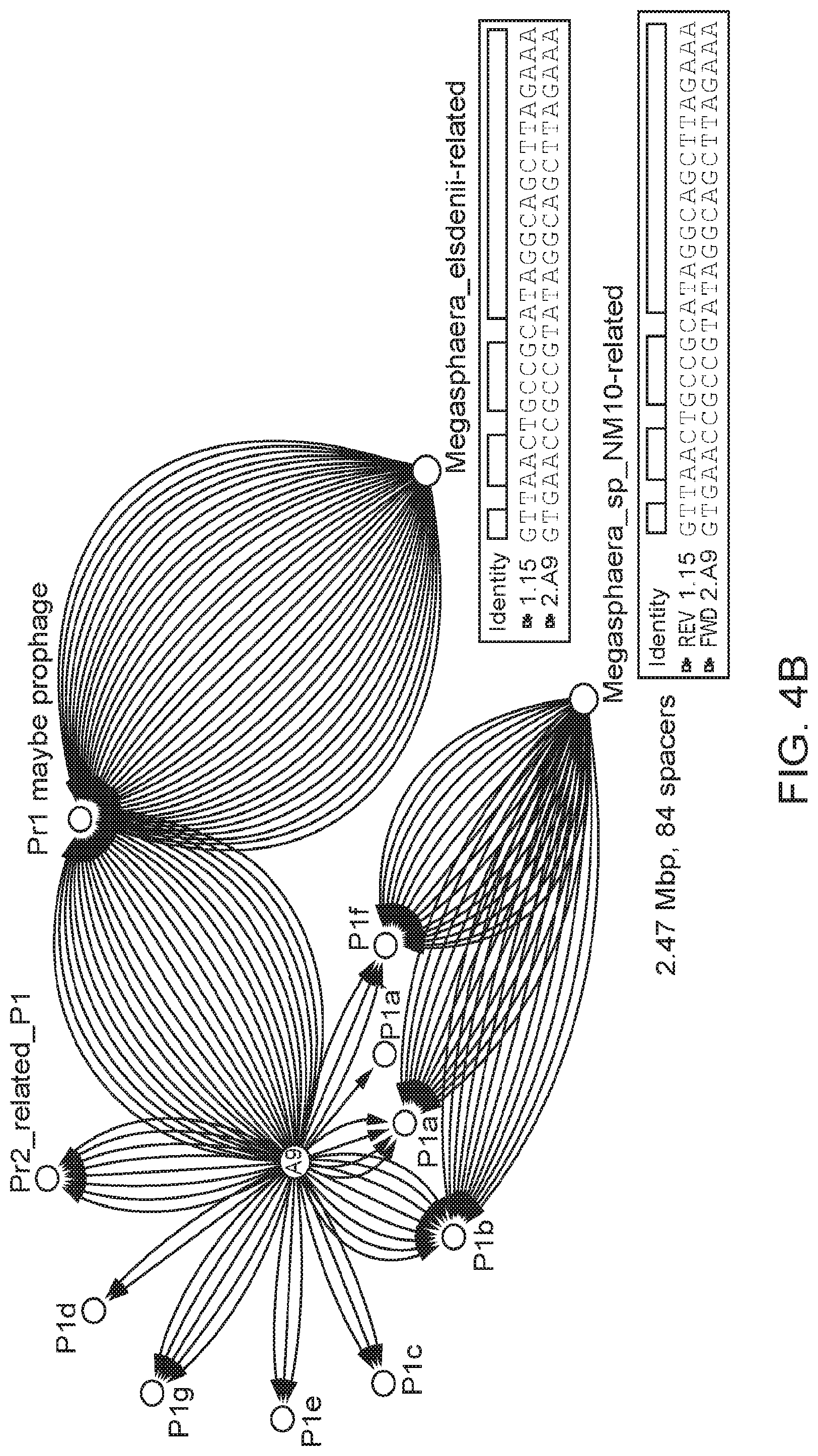Patent US12312614 Figure 6 – CRISPR-Cas effector polypeptides and methods of use thereof