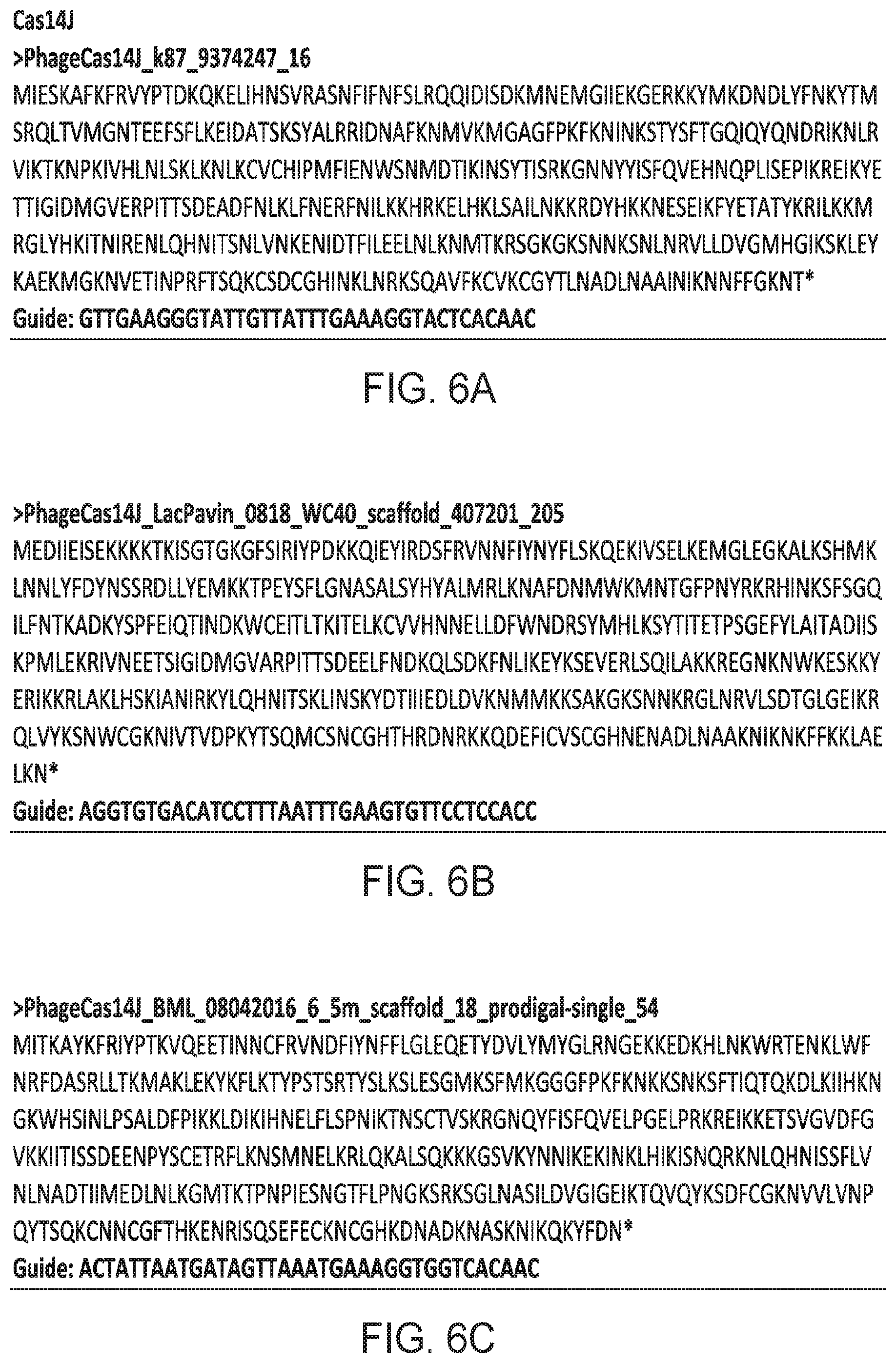 Patent US12312614 Figure 11 – CRISPR-Cas effector polypeptides and methods of use thereof