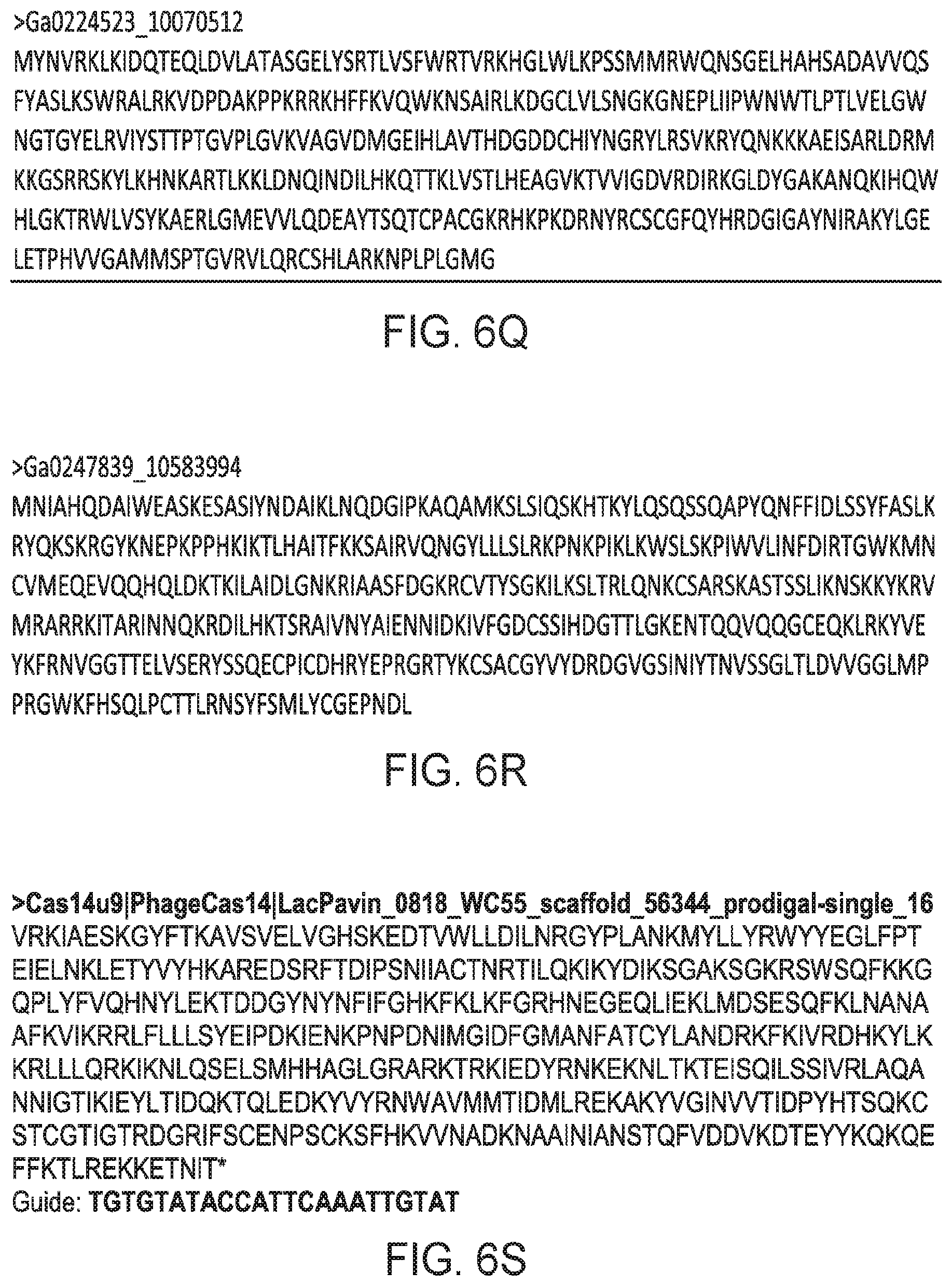 Patent US12312614 Figure 16 – CRISPR-Cas effector polypeptides and methods of use thereof