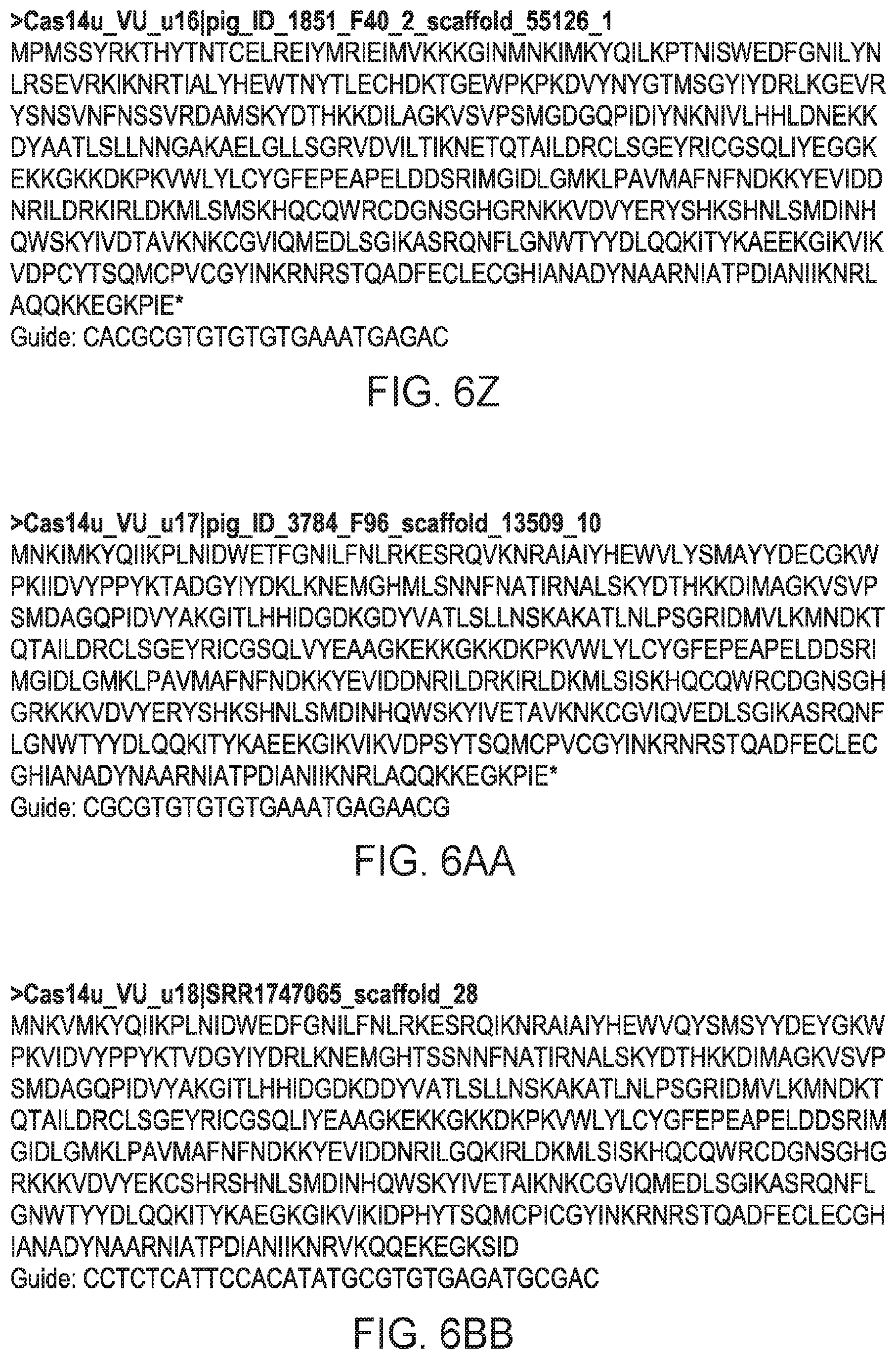 Patent US12312614 Figure 19 – CRISPR-Cas effector polypeptides and methods of use thereof
