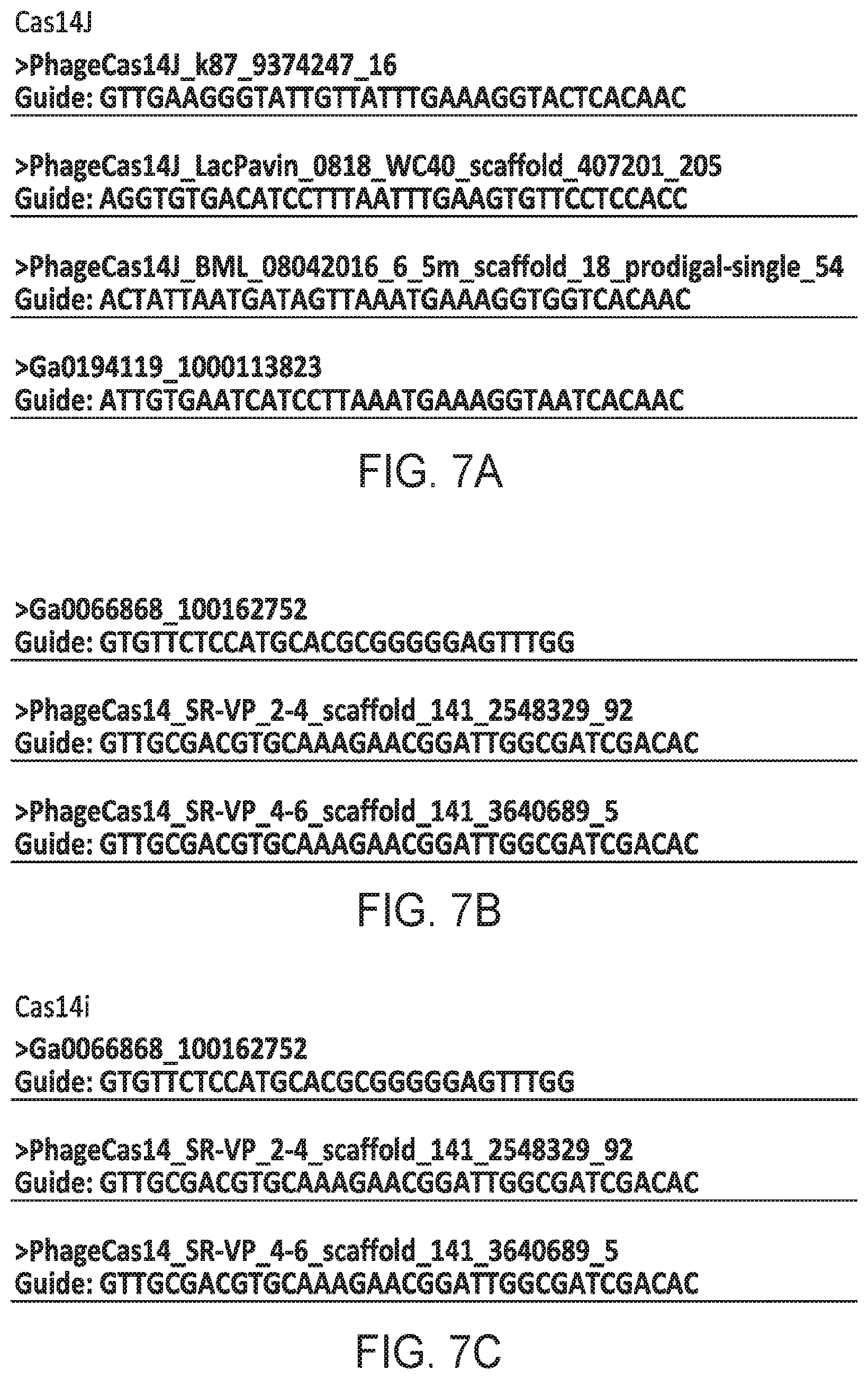 Patent US12312614 Figure 20 – CRISPR-Cas effector polypeptides and methods of use thereof