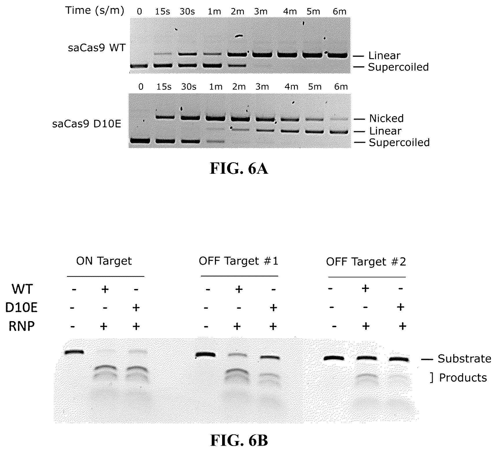 Patent US12312615 Figure 6 – Lipid-encapsulated dual-cleaving endonuclease for DNA and gene editing
