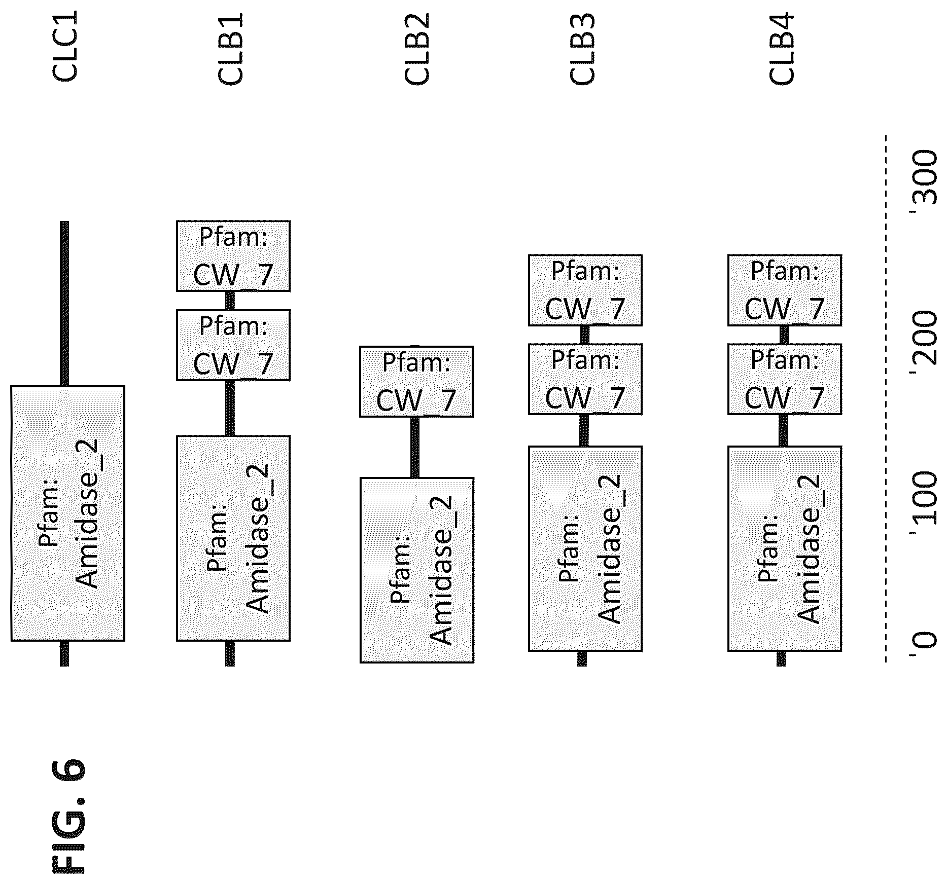 Patent US12312617 Figure 10 – Cell wall hydrolases targeting c. acnes