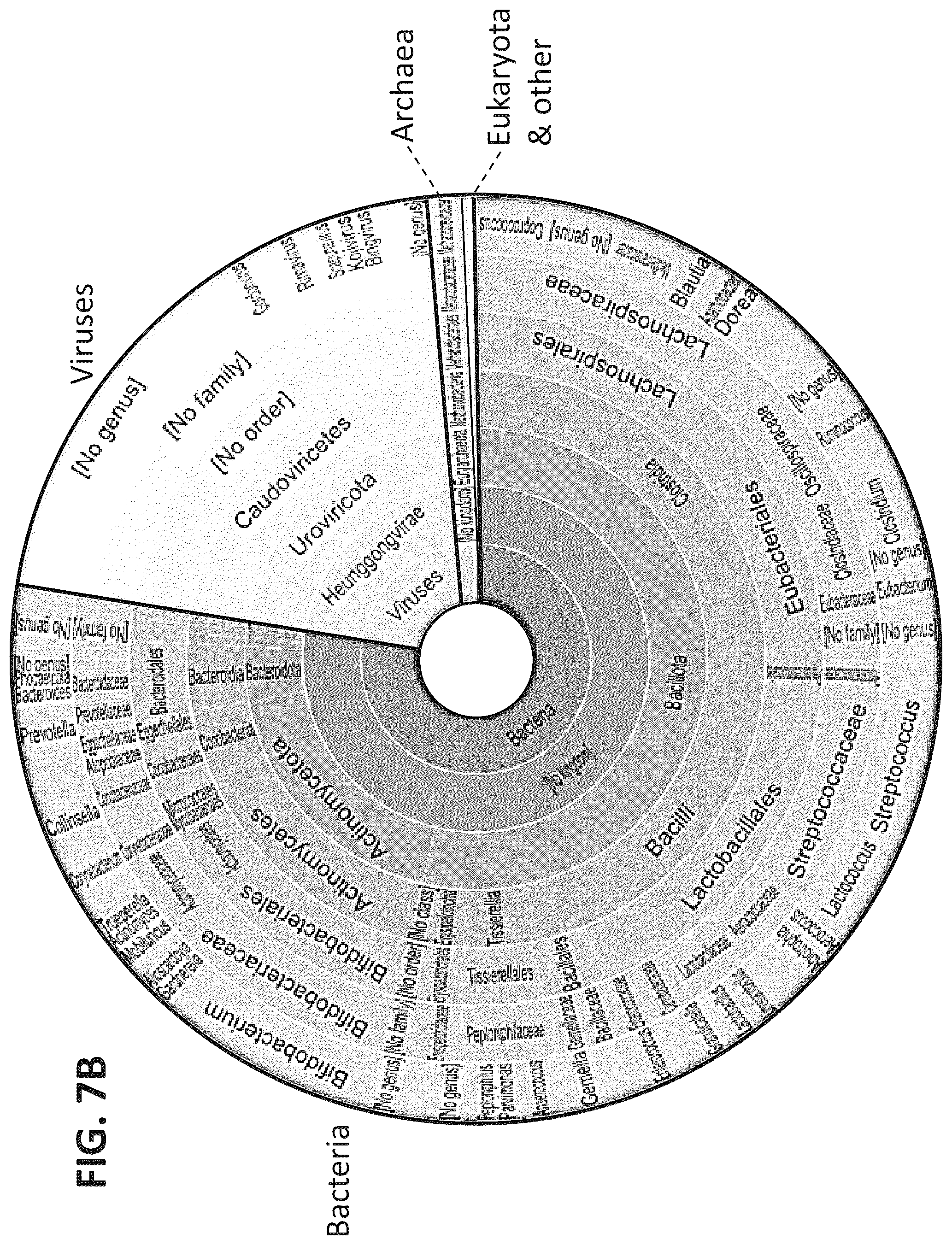Patent US12312617 Figure 12 – Cell wall hydrolases targeting c. acnes
