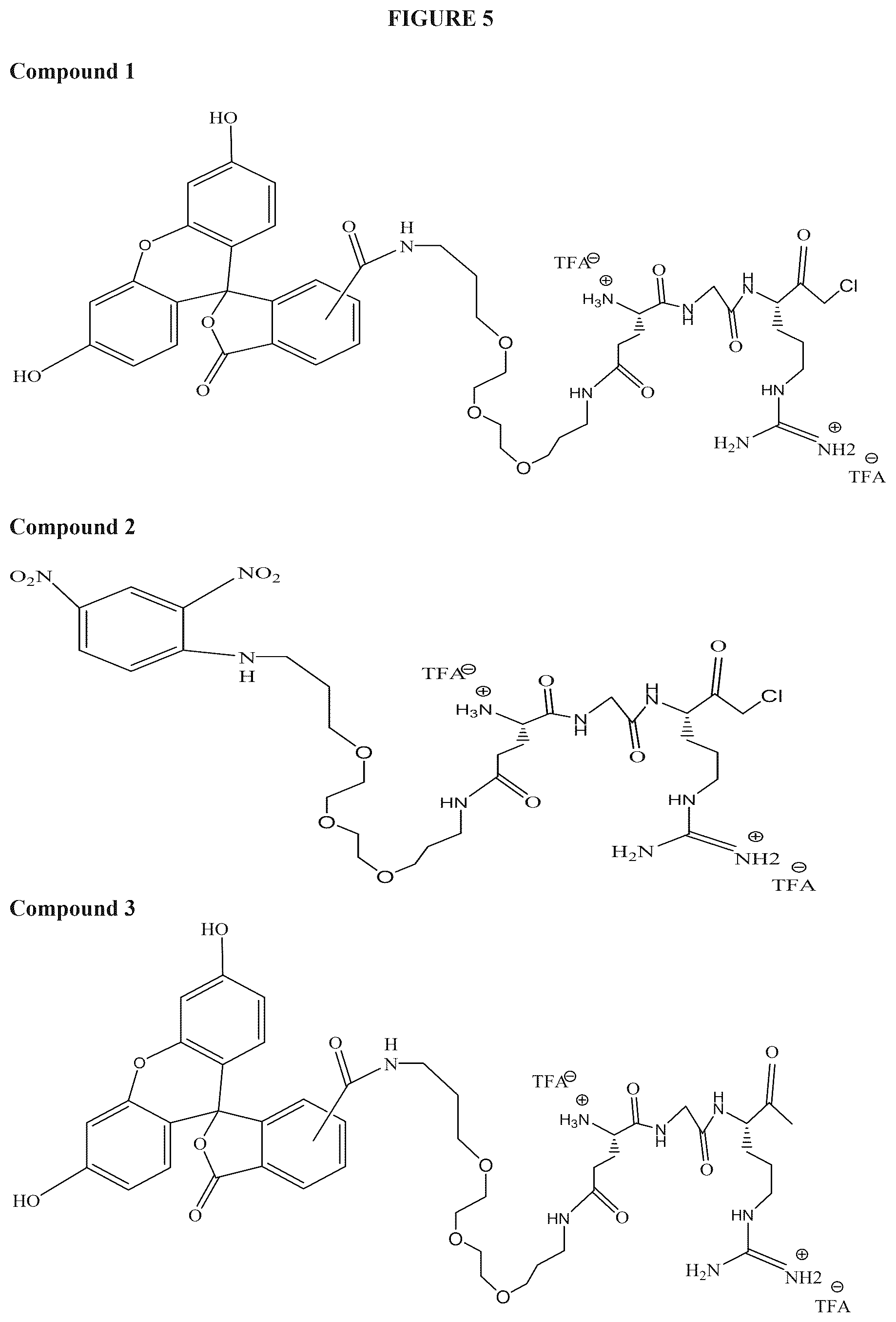 Patent US12312621 Figure 5 – Reprogramming urokinase into an antibody-recruiting anticancer agent