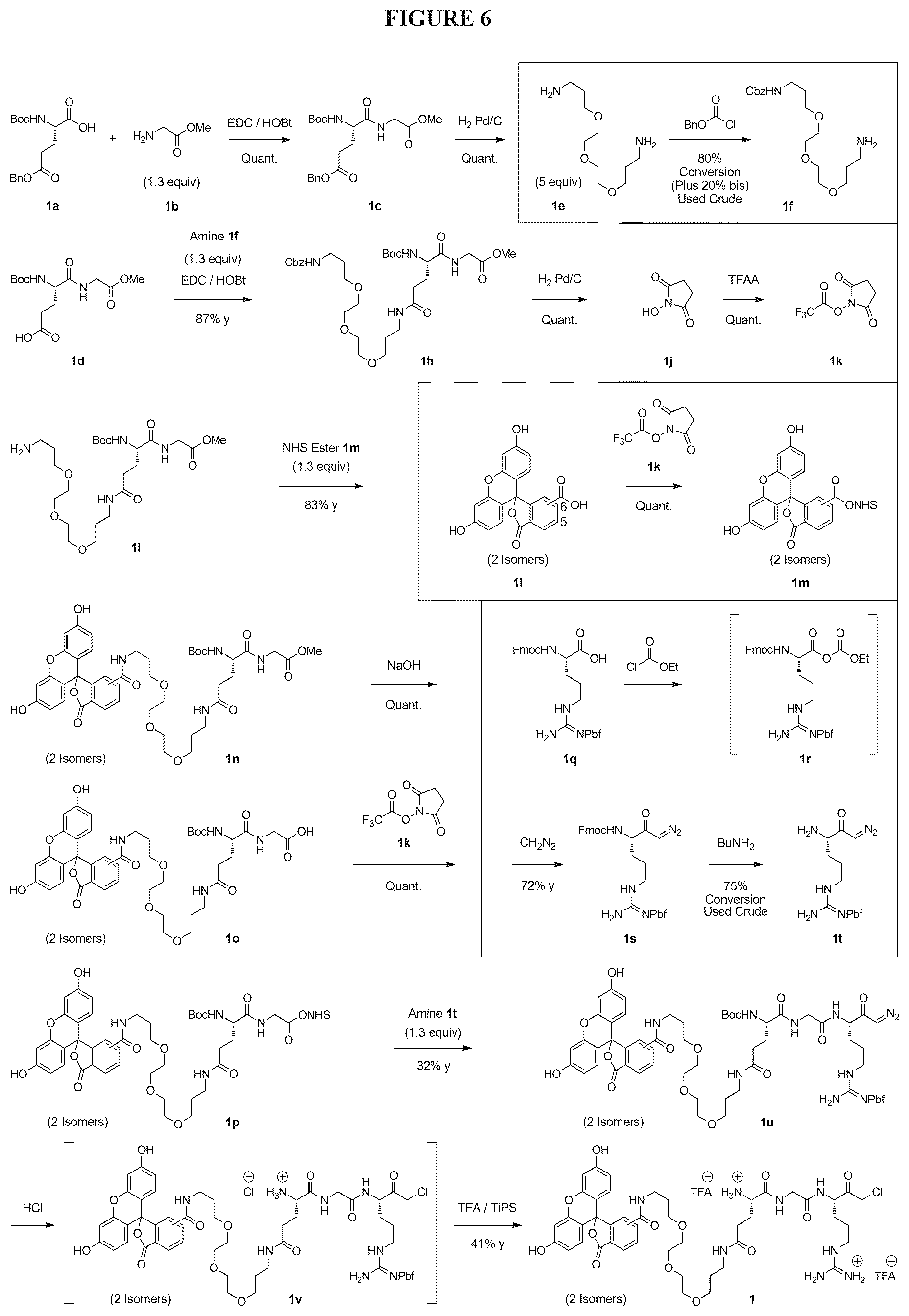 Patent US12312621 Figure 6 – Reprogramming urokinase into an antibody-recruiting anticancer agent