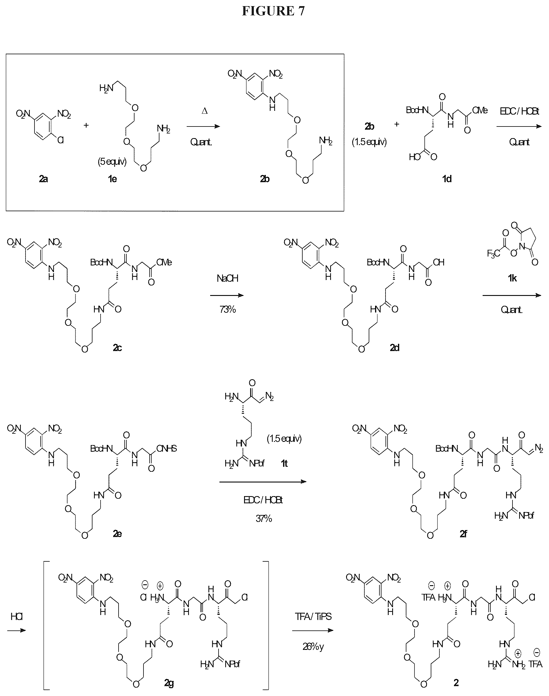 Patent US12312621 Figure 7 – Reprogramming urokinase into an antibody-recruiting anticancer agent