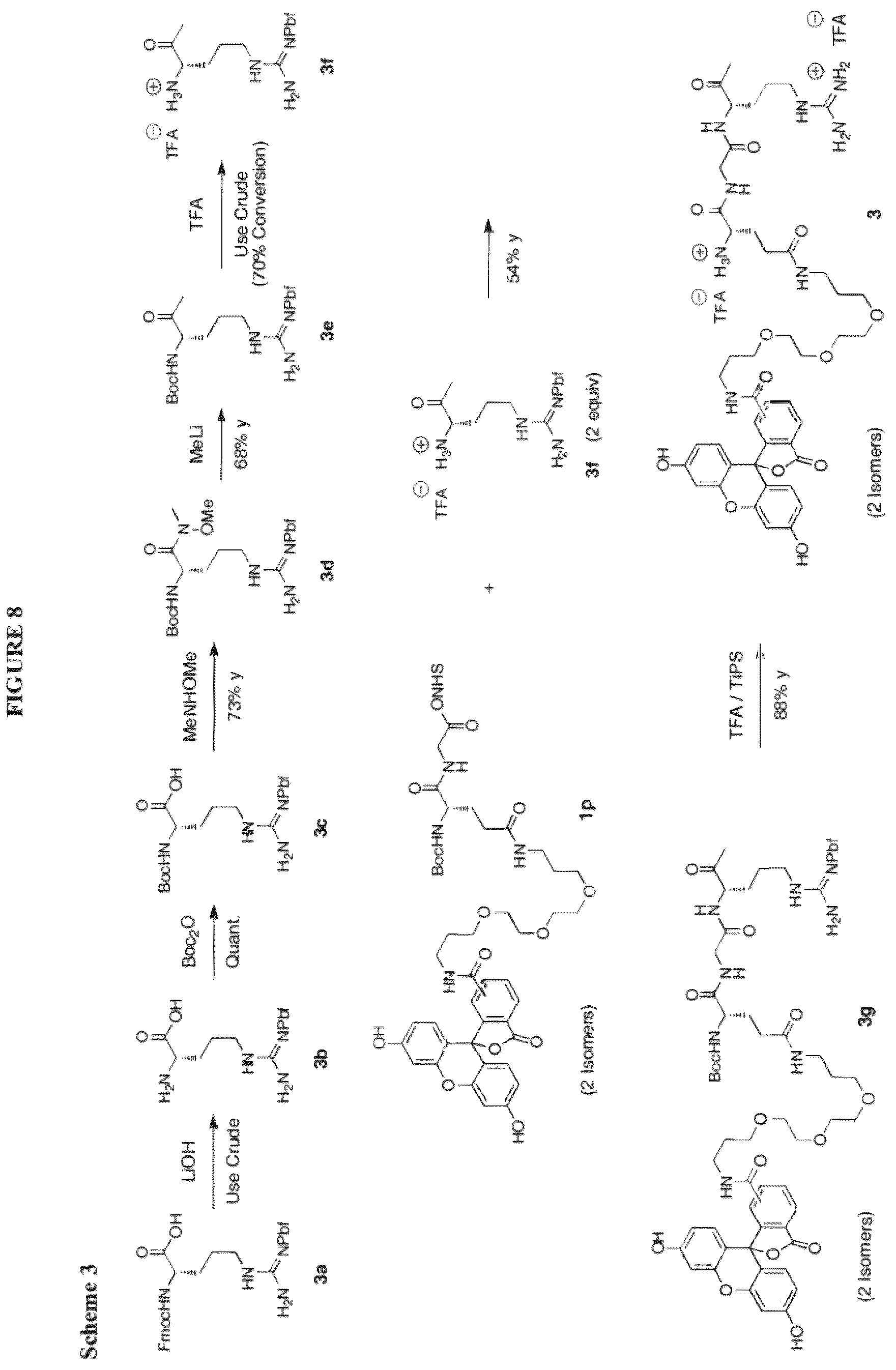Patent US12312621 Figure 8 – Reprogramming urokinase into an antibody-recruiting anticancer agent