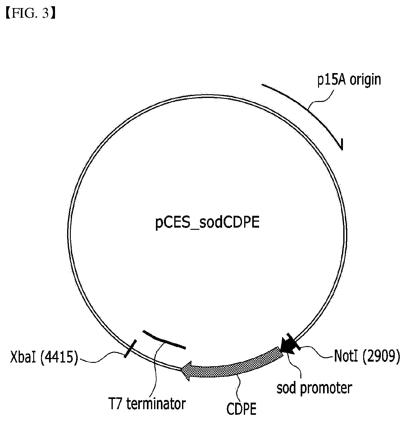 Patent US12312623 Figure 3 – Method for producing psicose from fructose-containing substrate