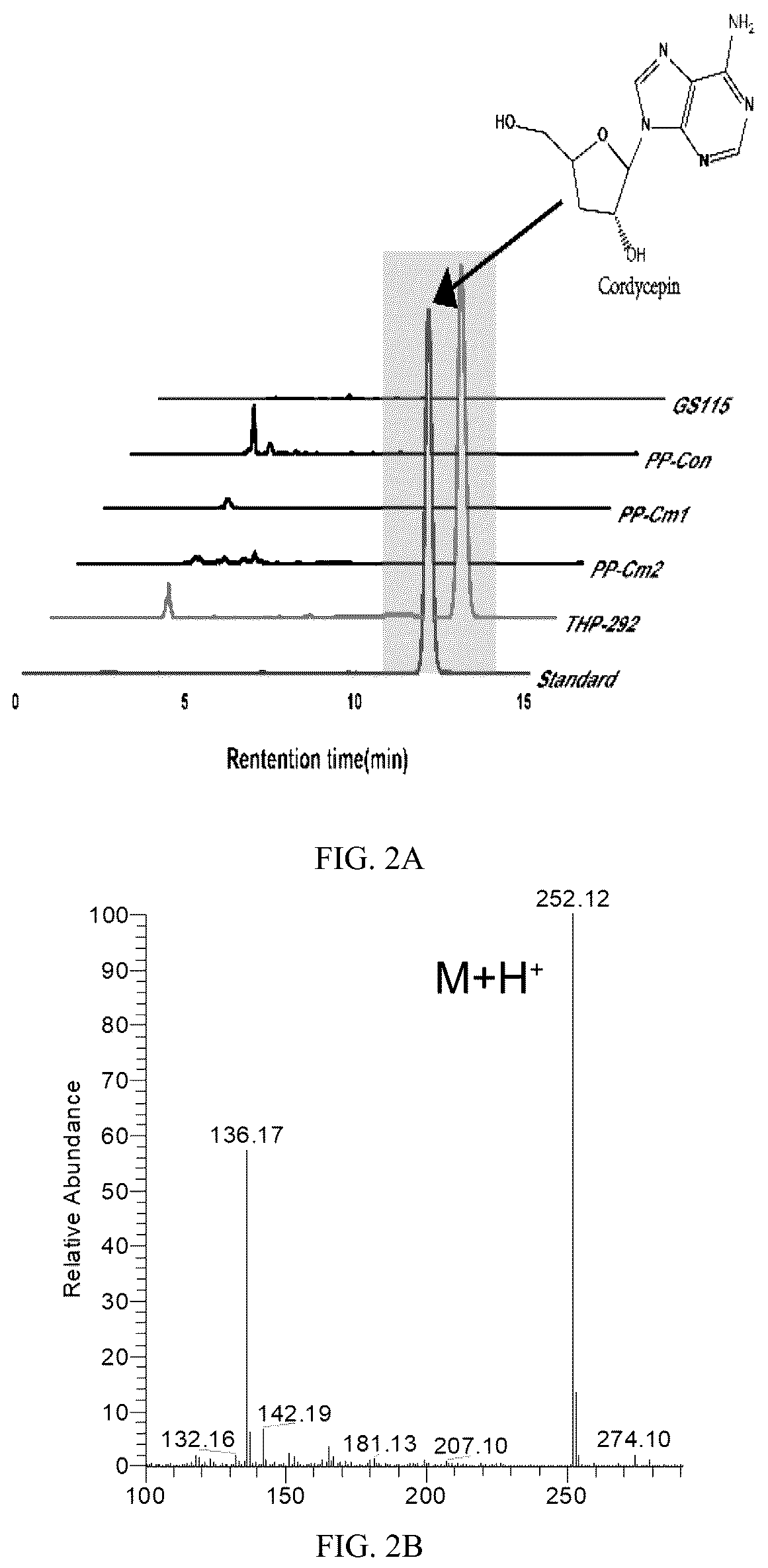 Patent US12312625 Figure 2 – Engineering strain producing cordycepin and its derivative 3′-deoxyinosine, its preparation method and application
