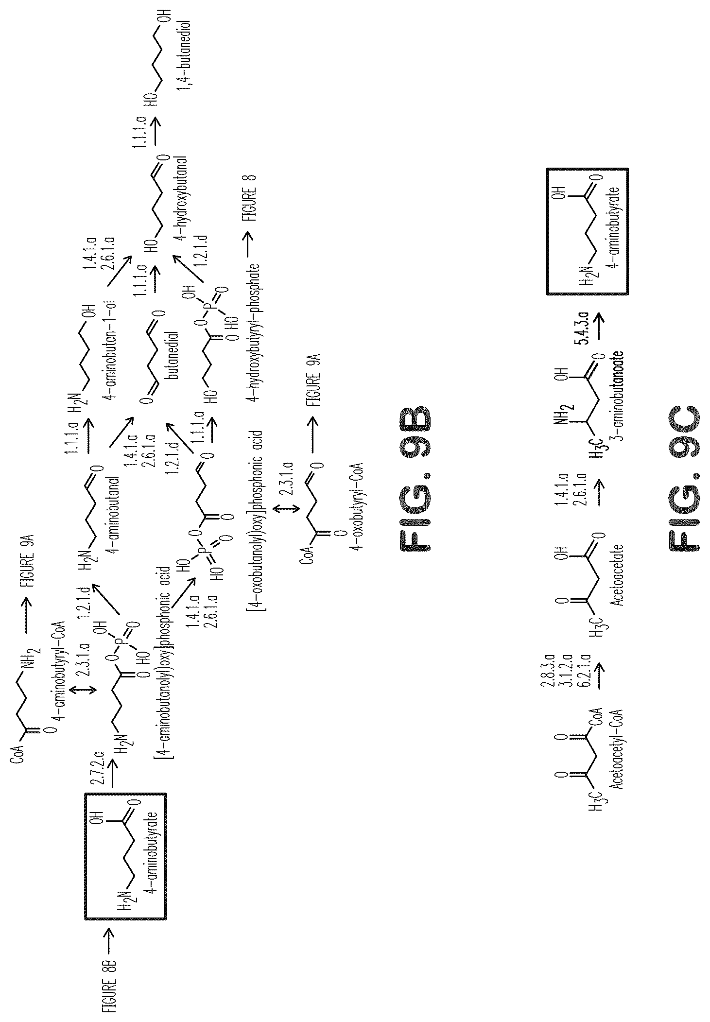 Patent US12312627 Figure 10 – Microorganisms and methods for production of 4-hydroxybutyrate, 1,4-butanediol and related compounds