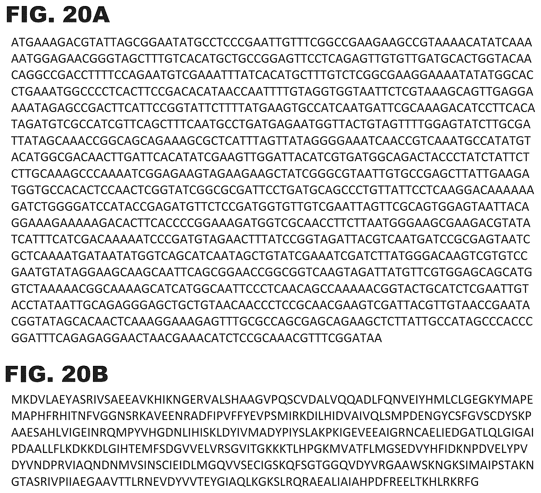 Patent US12312627 Figure 20 – Microorganisms and methods for production of 4-hydroxybutyrate, 1,4-butanediol and related compounds