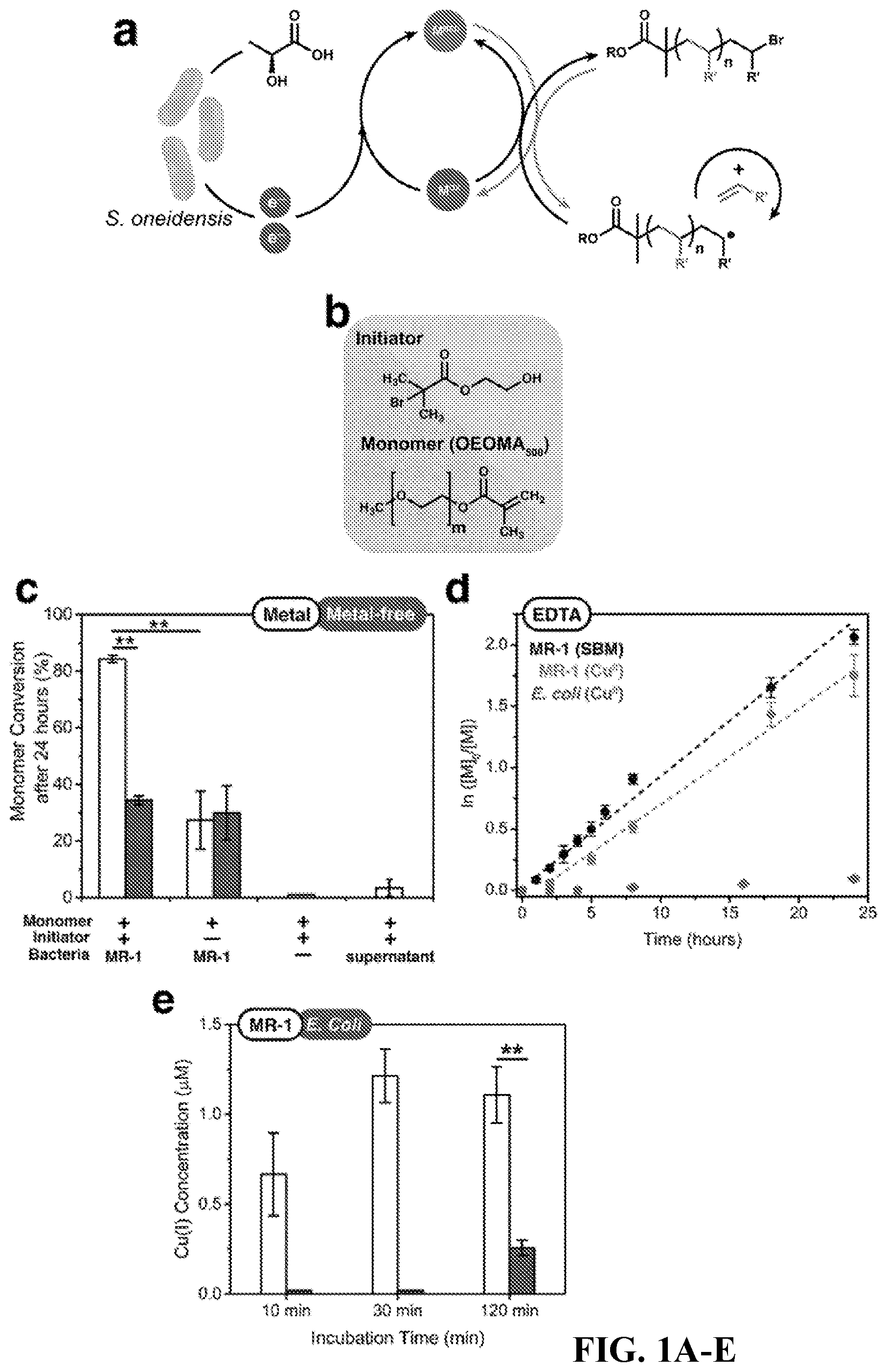 Patent US12312628 — Metabolic control over organometallic catalysts using electroactive bacteria — Figure 1