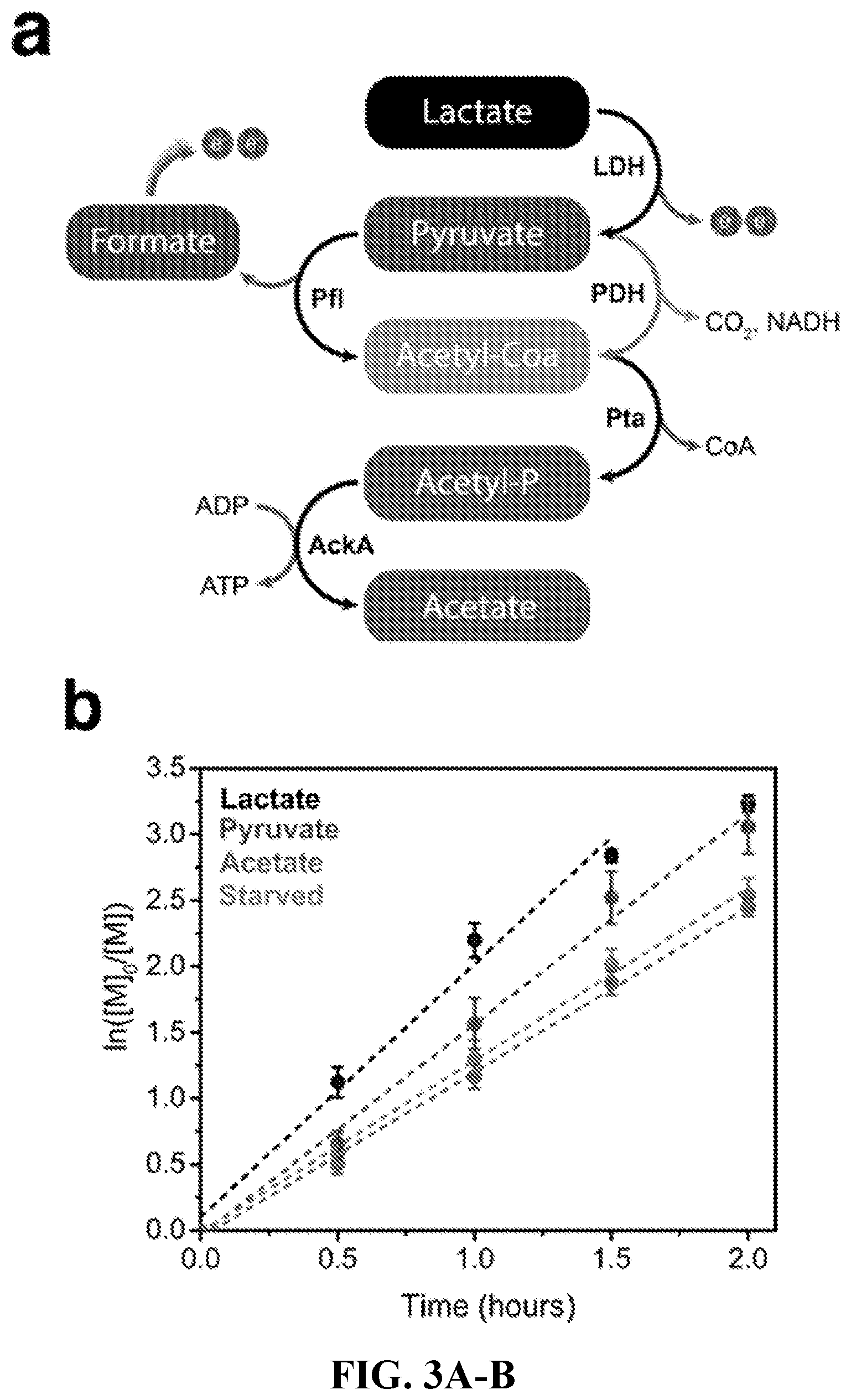 Patent US12312628 Figure 3 – Metabolic control over organometallic catalysts using electroactive bacteria