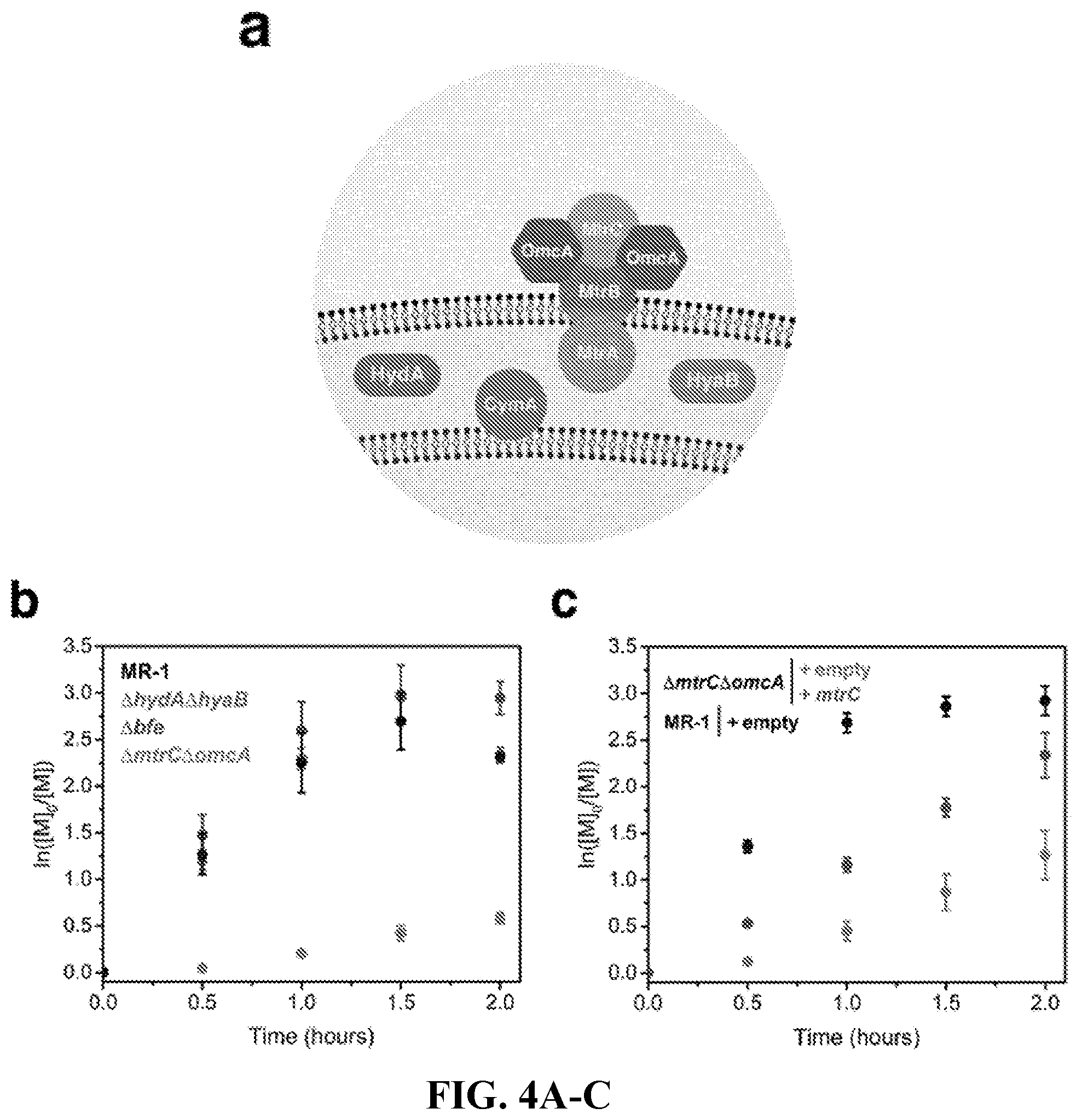 Patent US12312628 Figure 4 – Metabolic control over organometallic catalysts using electroactive bacteria