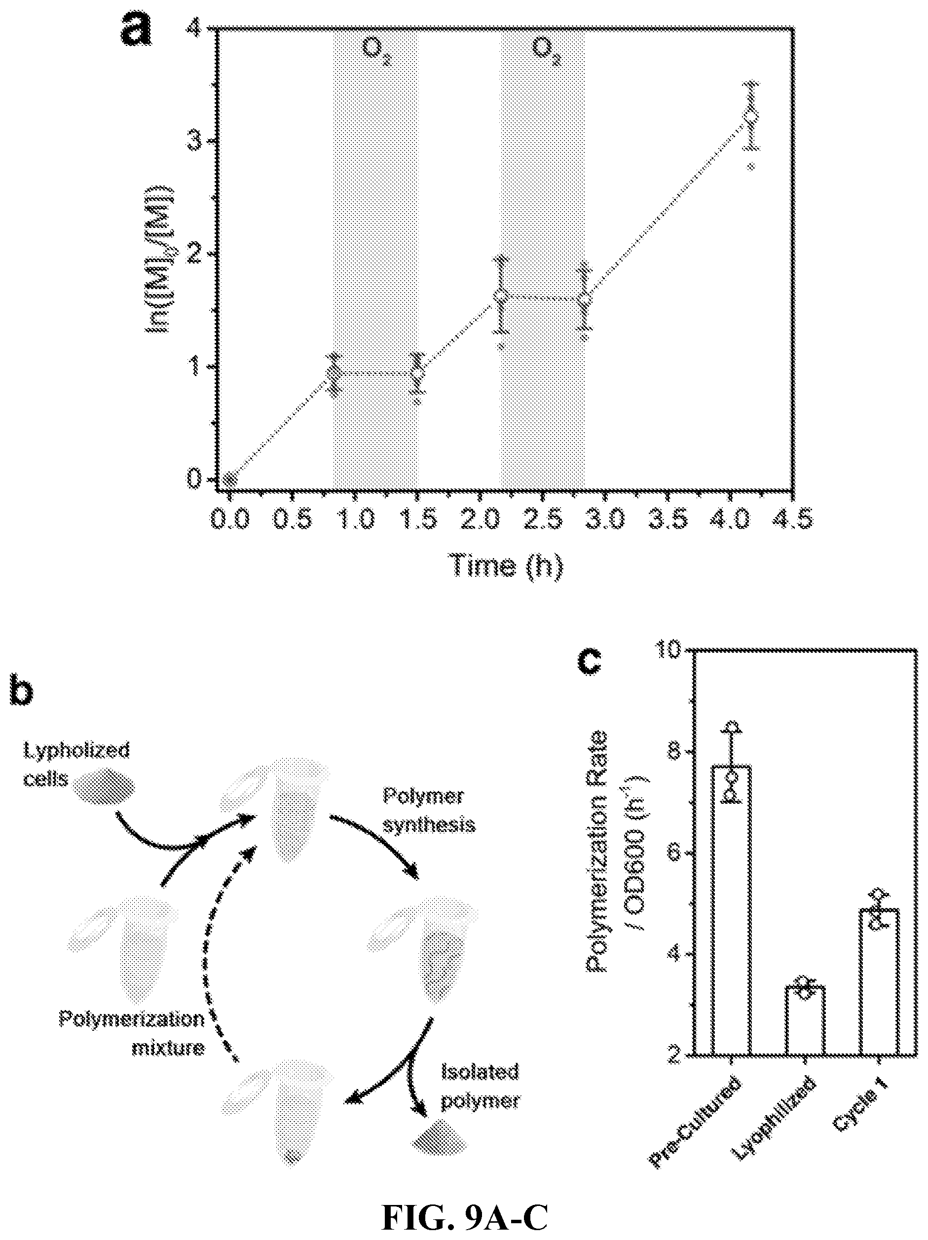 Patent US12312628 Figure 11 – Metabolic control over organometallic catalysts using electroactive bacteria