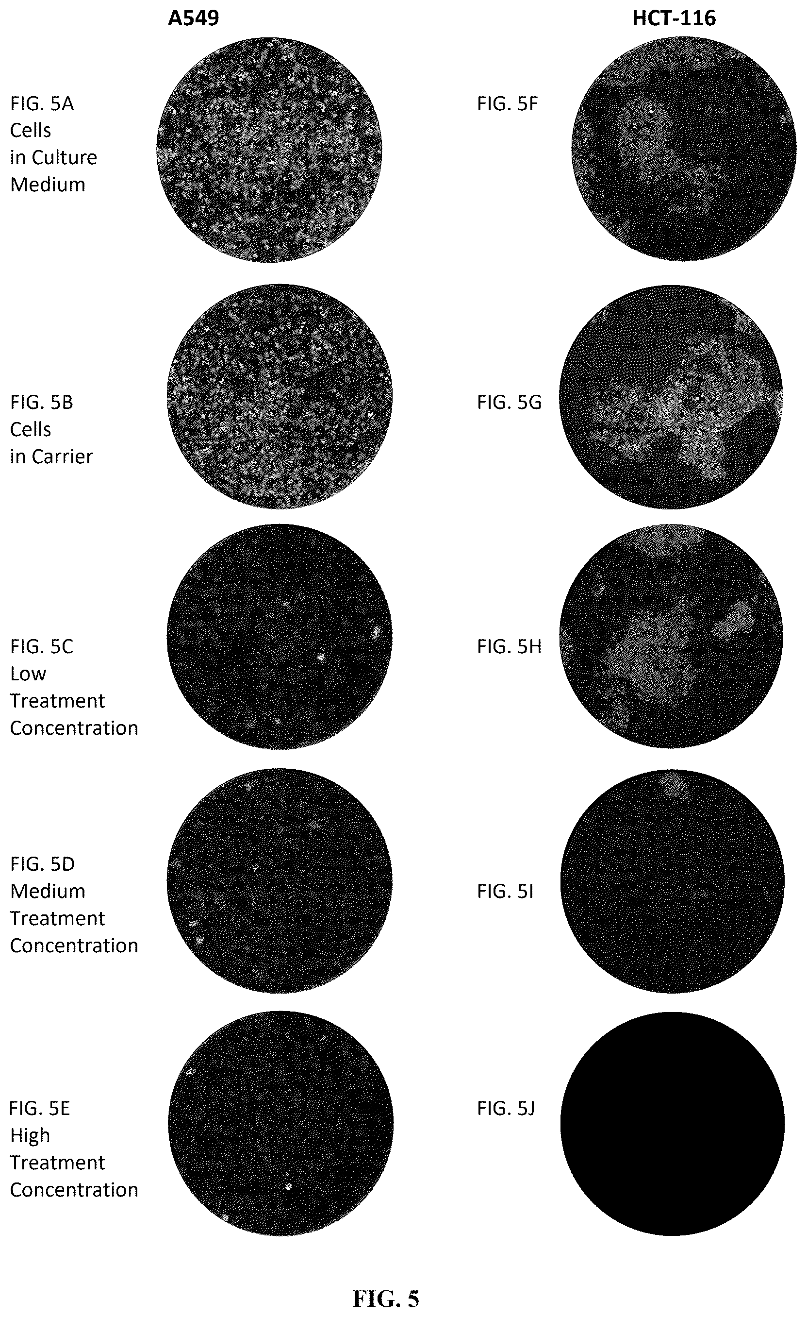 Patent US12312631 Figure 5 – High-throughput multiplexed sensitivity and resistance assay