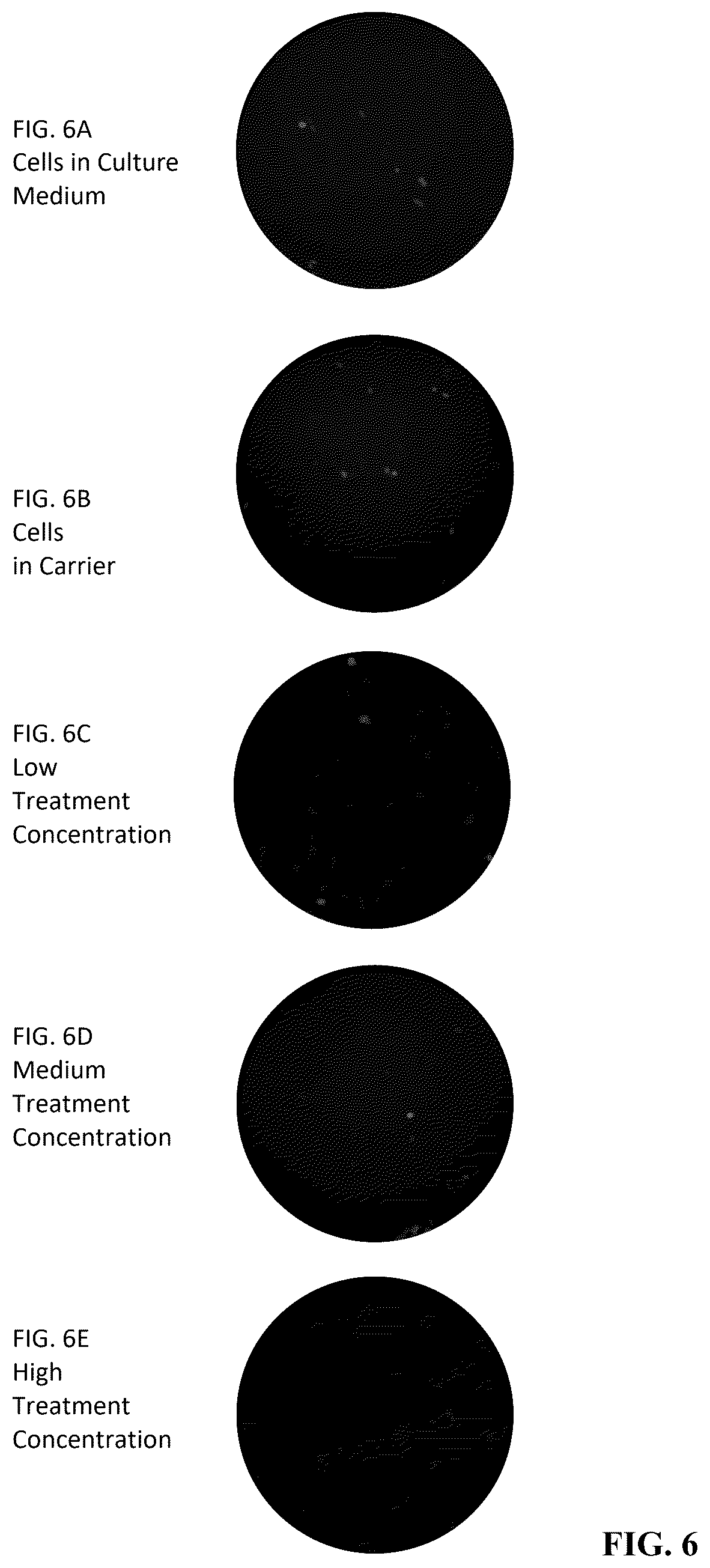 Patent US12312631 Figure 6 – High-throughput multiplexed sensitivity and resistance assay