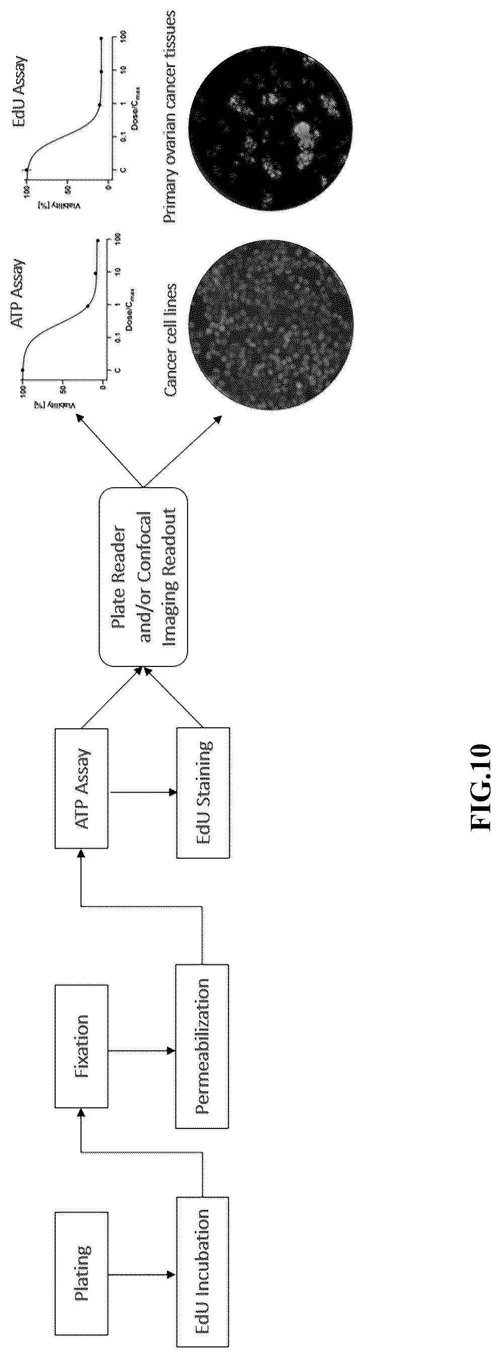 Patent US12312631 Figure 12 – High-throughput multiplexed sensitivity and resistance assay