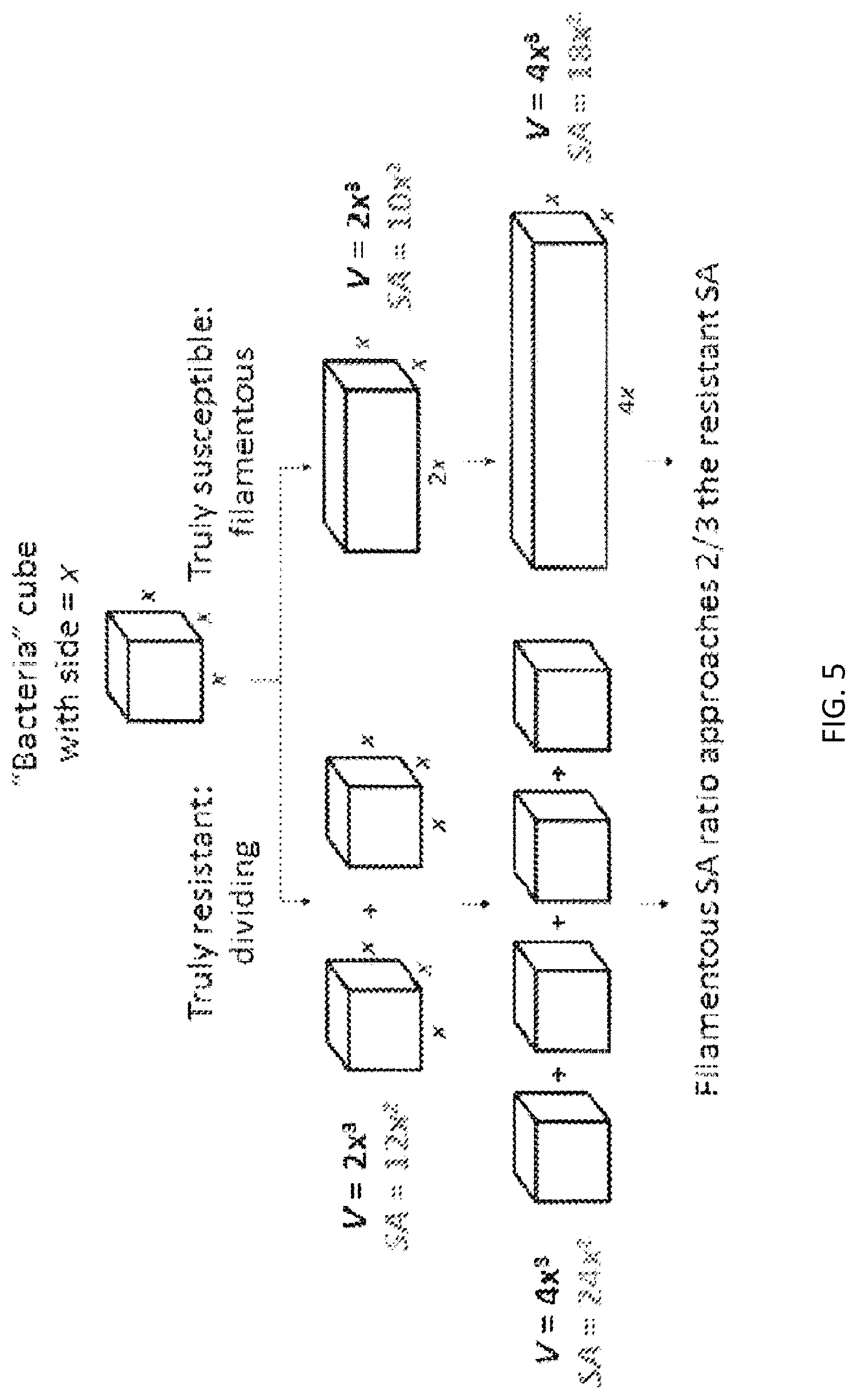 Patent US12312632 Figure 5 – Systems and methods for performing antimicrobial susceptibility testing