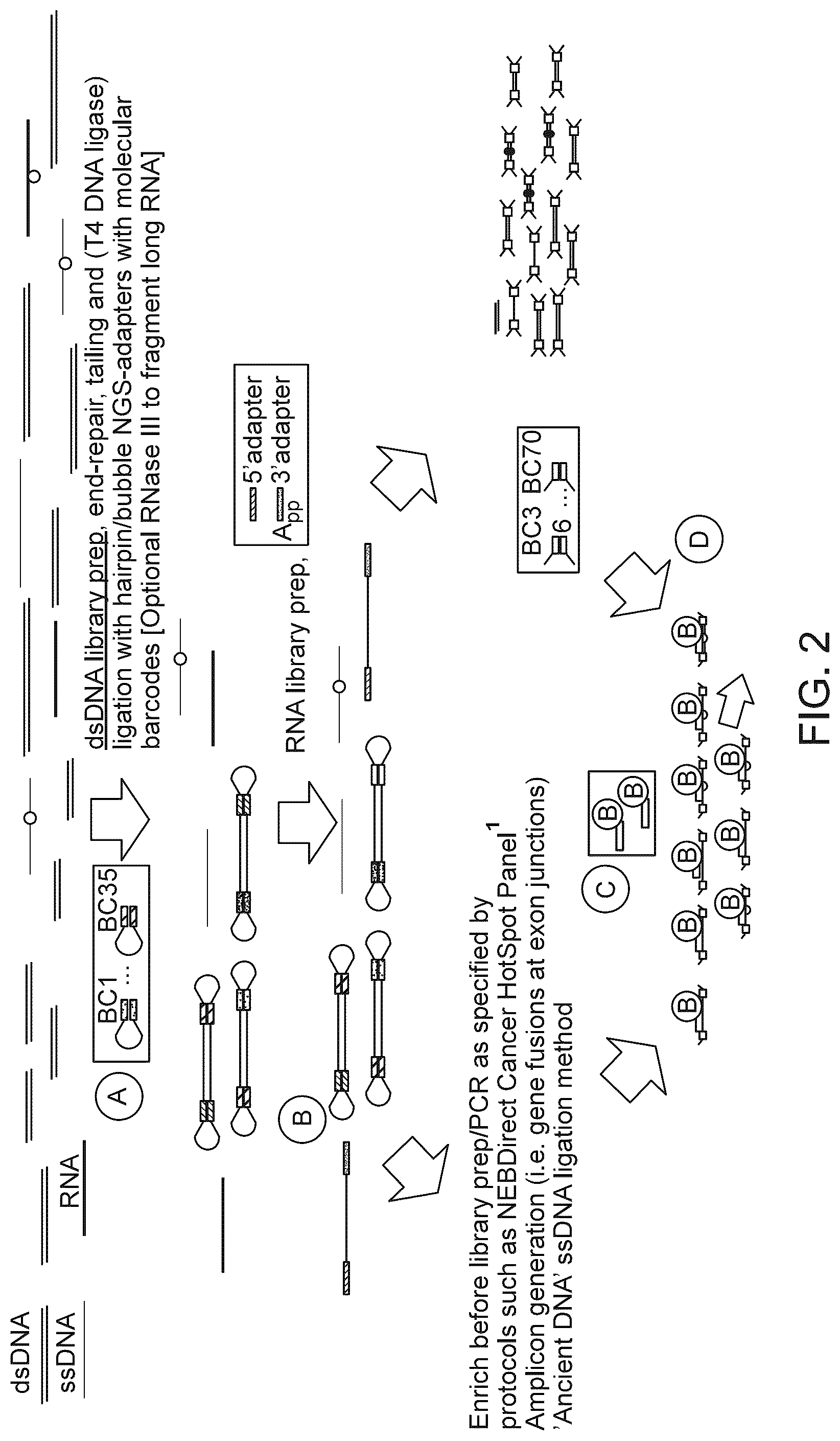 Patent US12312634 Figure 2 – Methods and systems for analyzing nucleic acid molecules