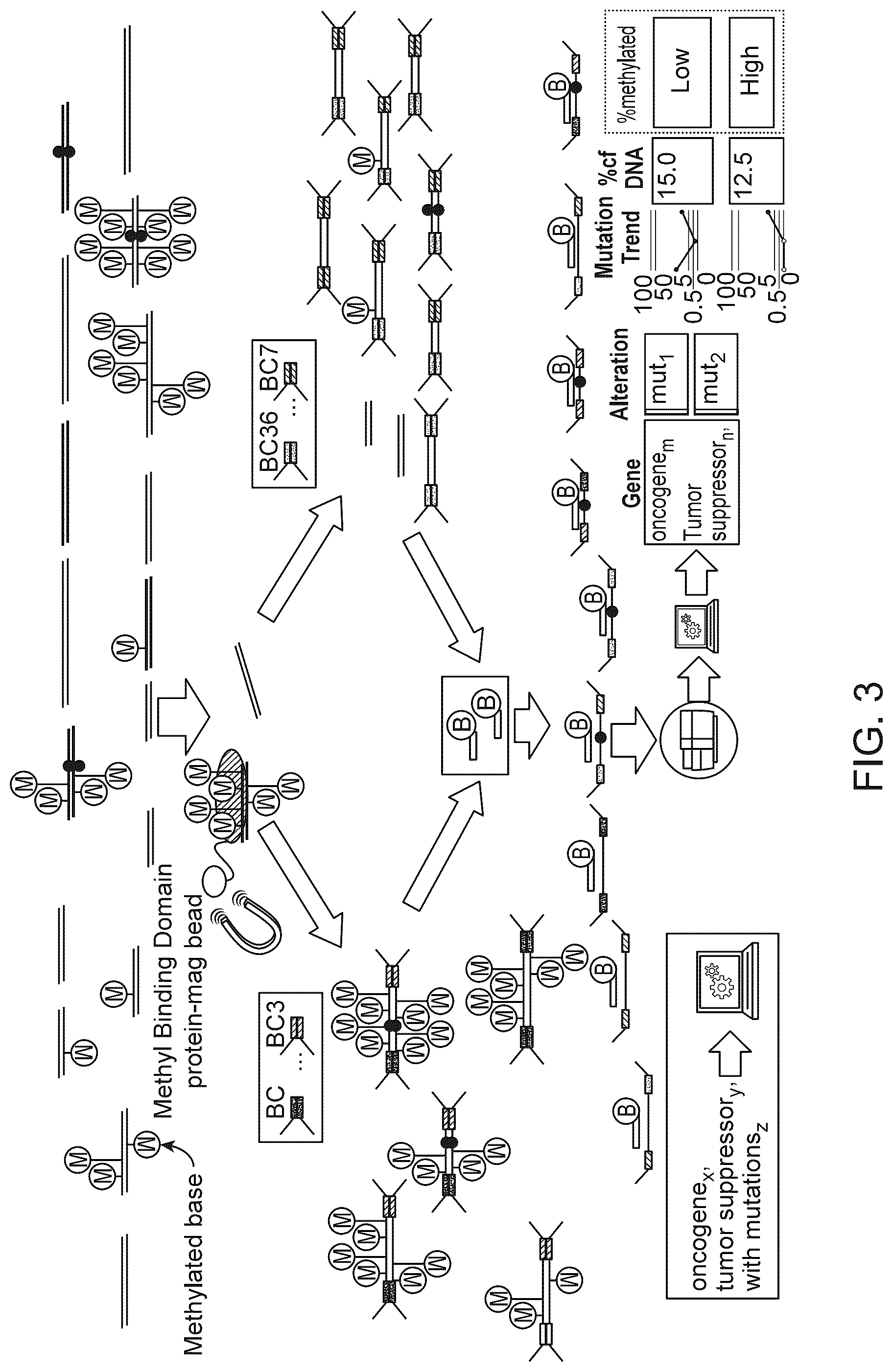 Patent US12312634 Figure 3 – Methods and systems for analyzing nucleic acid molecules