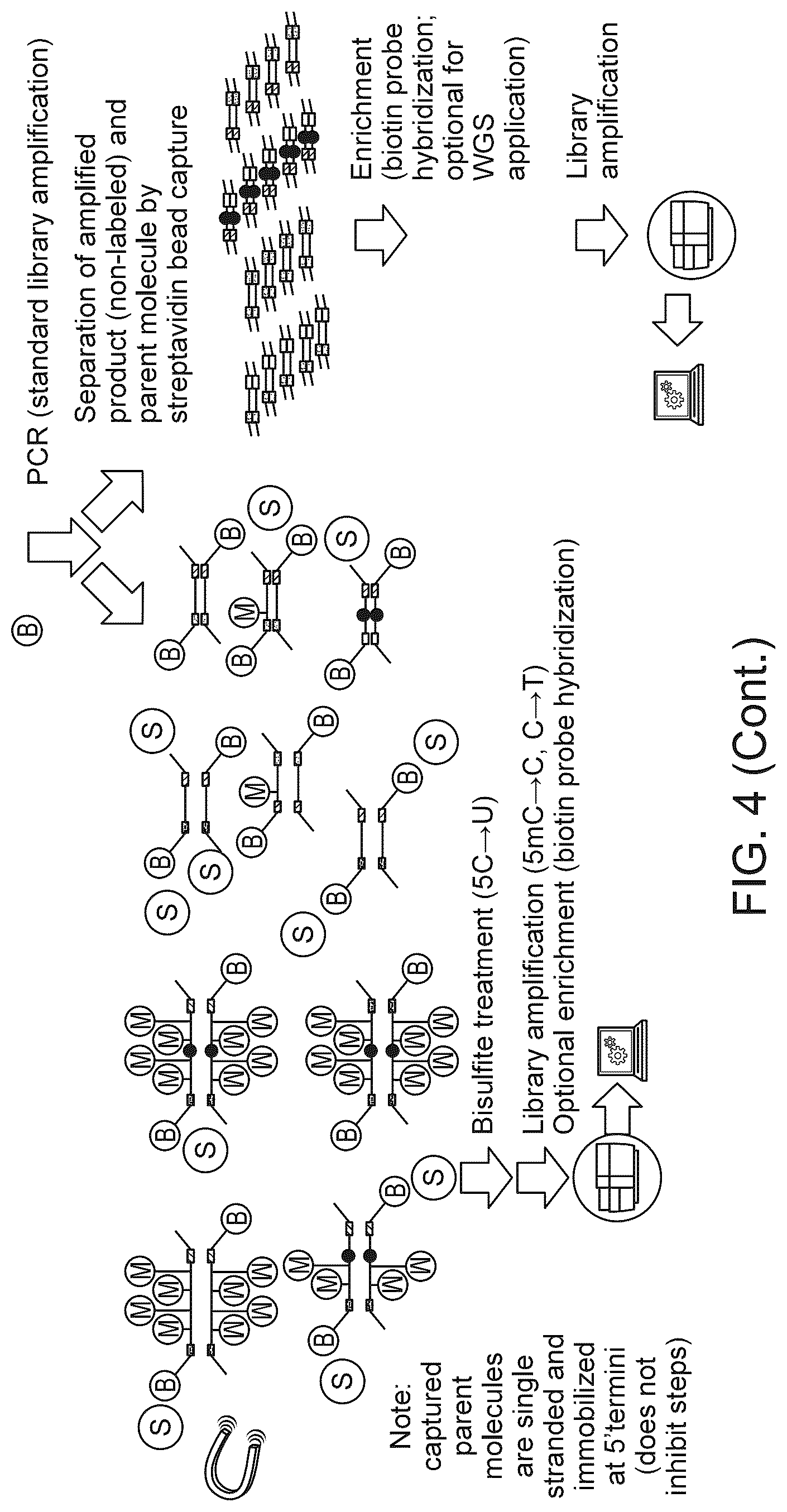 Patent US12312634 Figure 5 – Methods and systems for analyzing nucleic acid molecules