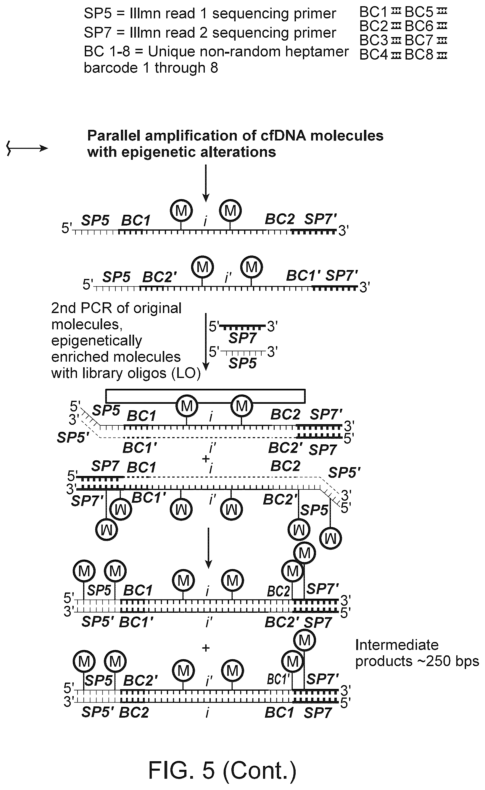 Patent US12312634 Figure 7 – Methods and systems for analyzing nucleic acid molecules