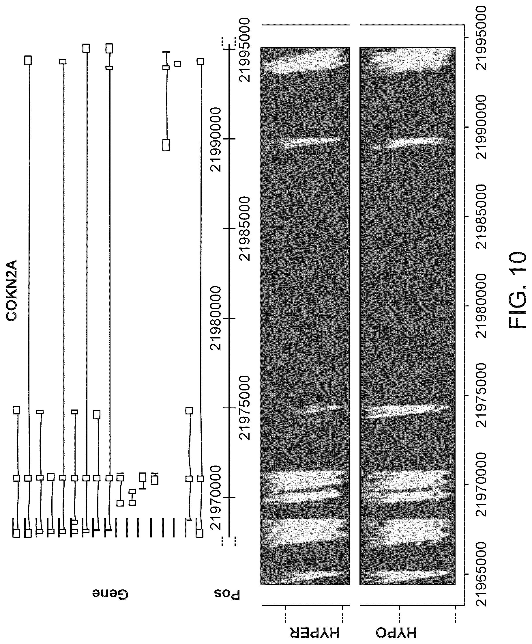 Patent US12312634 Figure 13 – Methods and systems for analyzing nucleic acid molecules