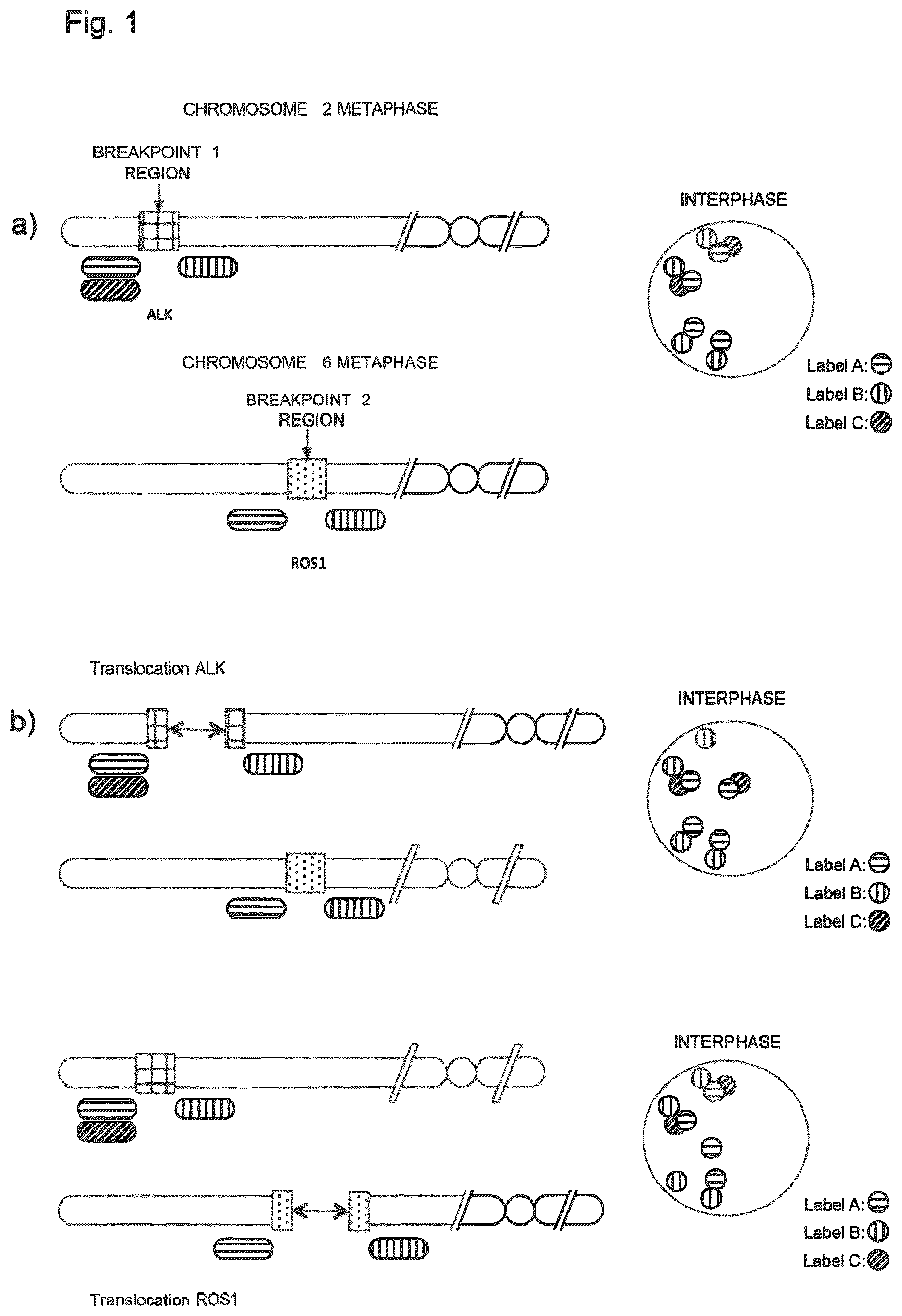 Patent US12312635 Figure 1 – Method for detecting chromosomal abnormalities