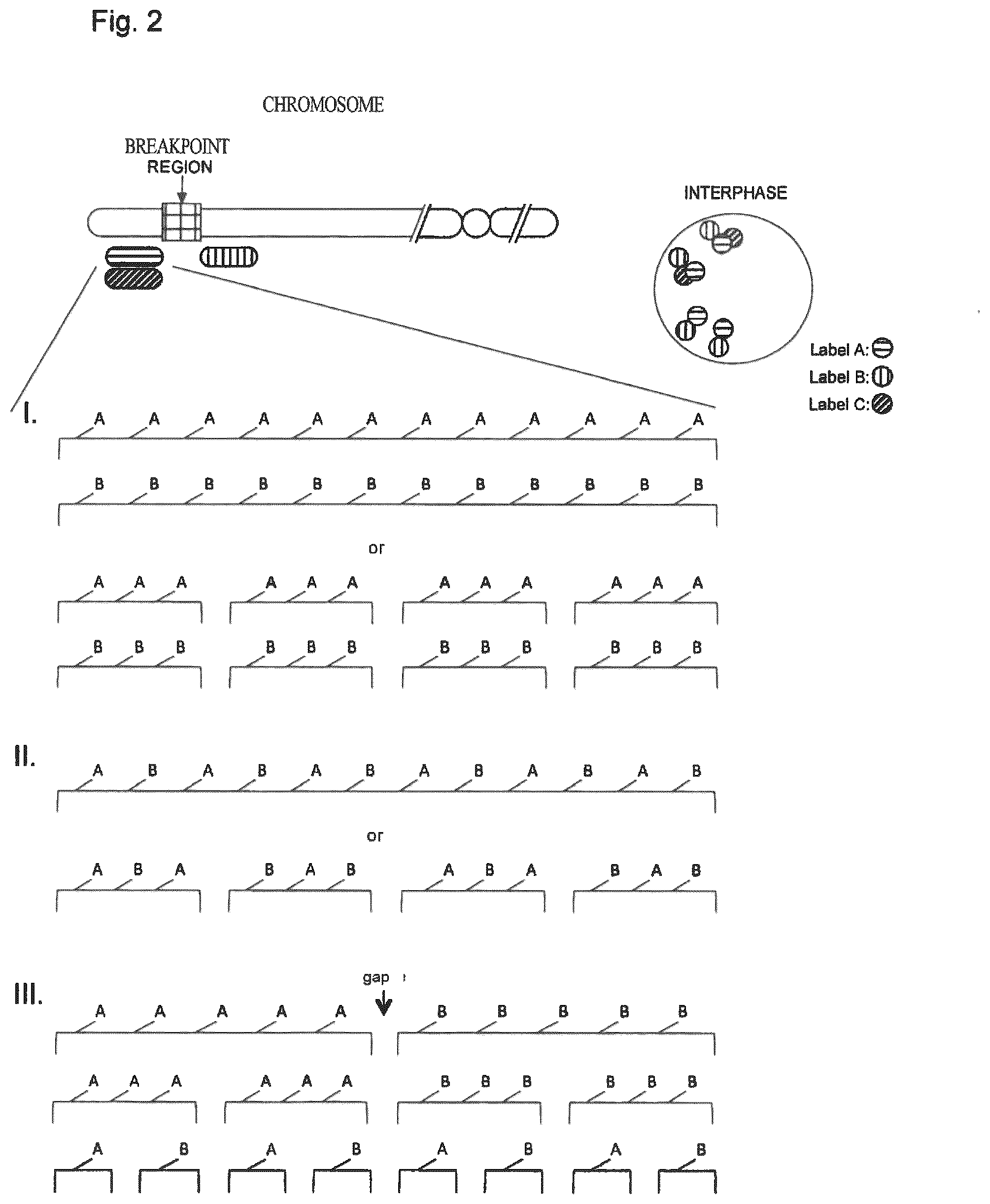 Patent US12312635 Figure 2 – Method for detecting chromosomal abnormalities