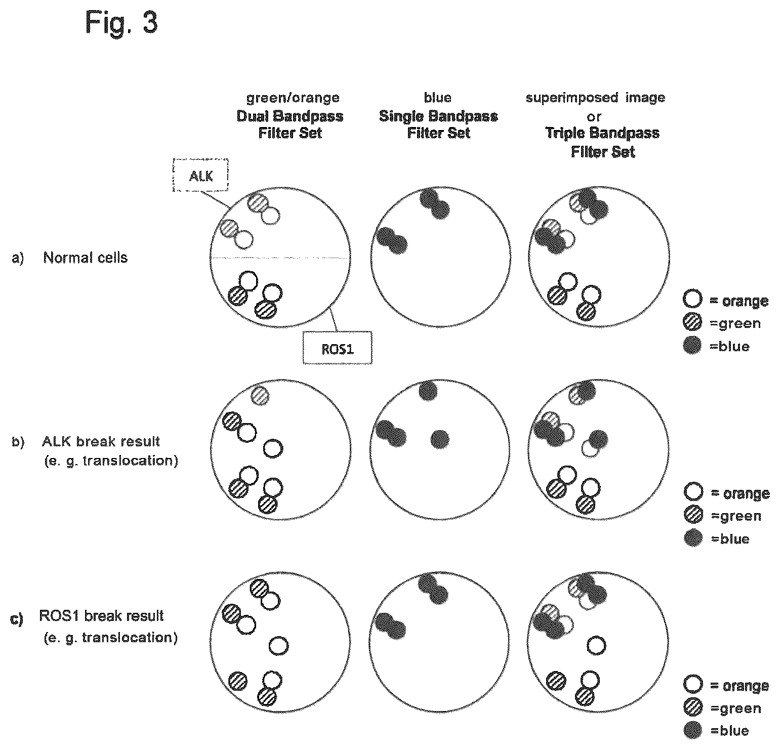 Patent US12312635 Figure 3 – Method for detecting chromosomal abnormalities