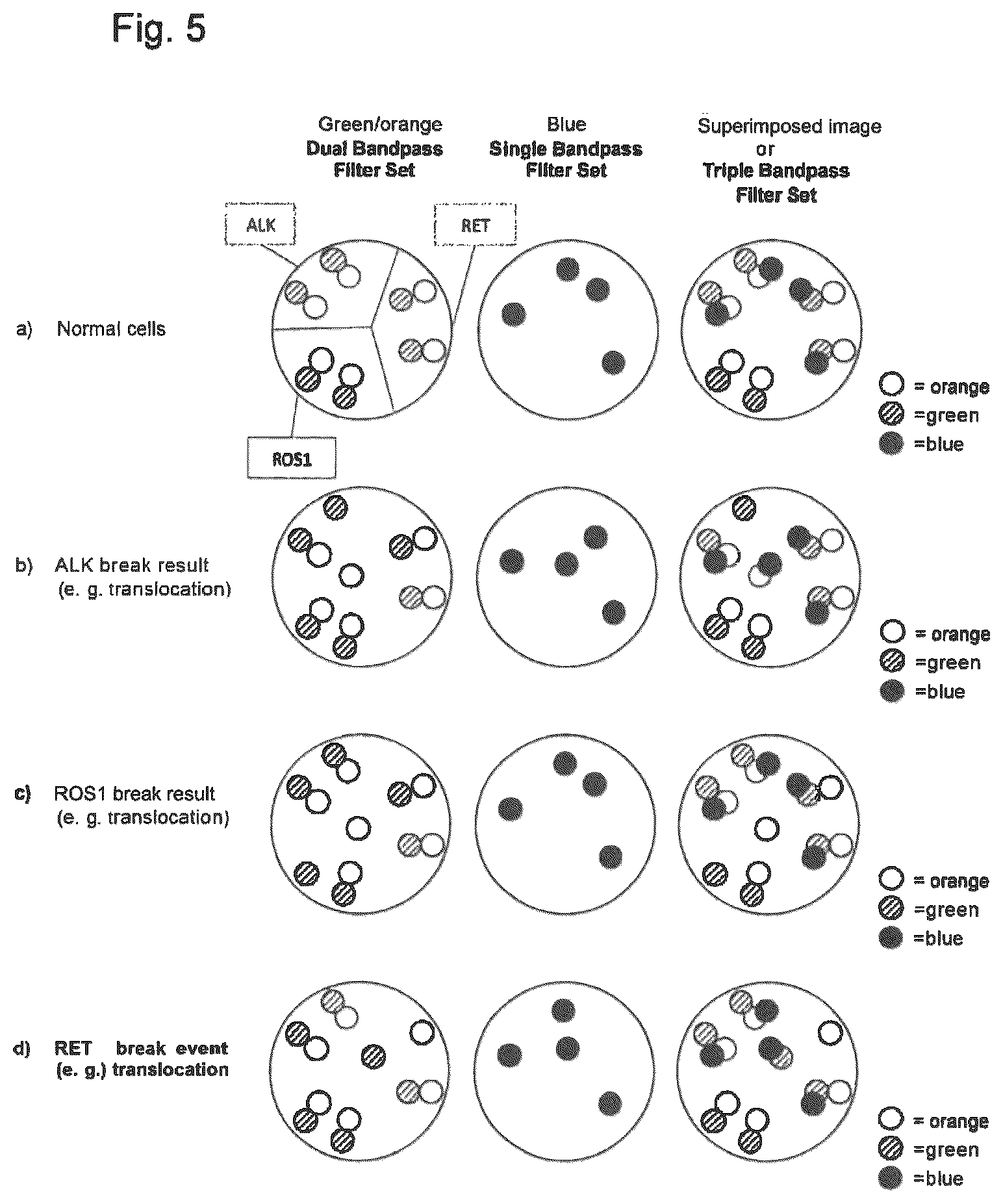 Patent US12312635 Figure 5 – Method for detecting chromosomal abnormalities