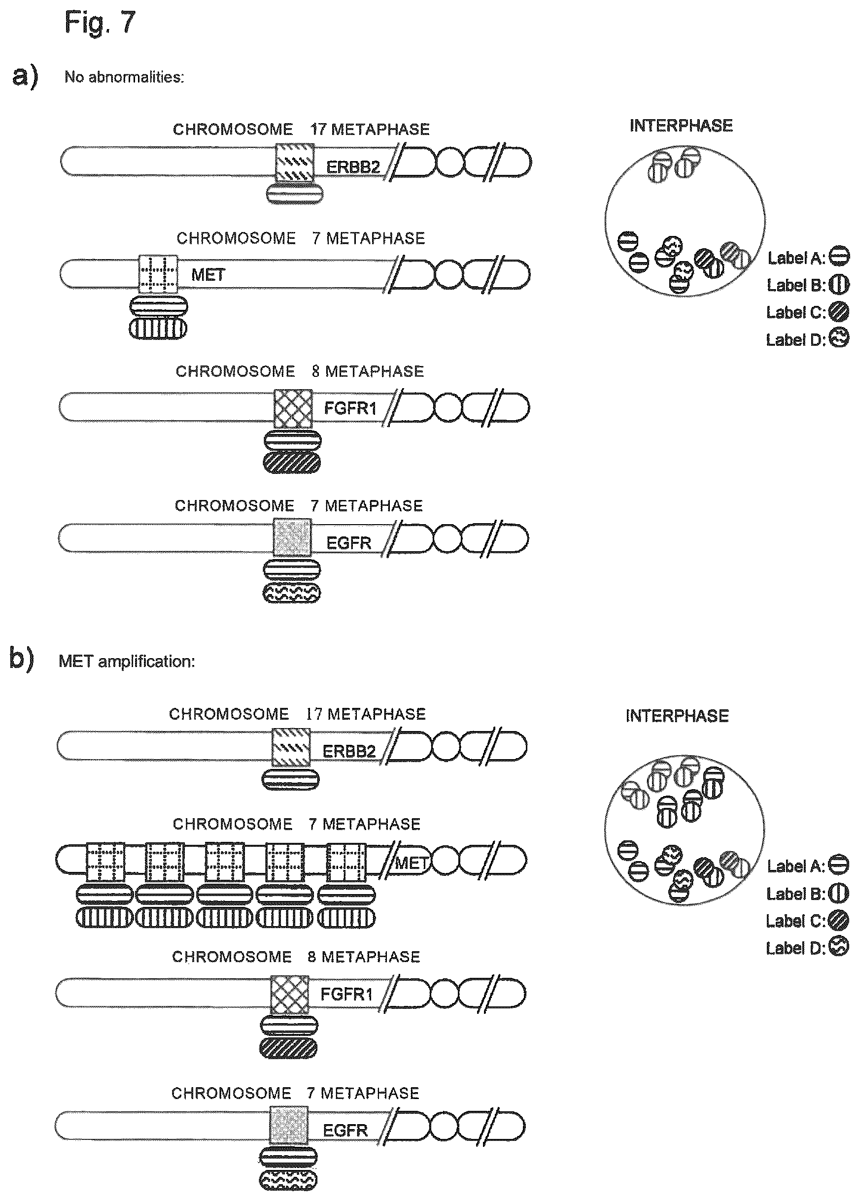 Patent US12312635 Figure 7 – Method for detecting chromosomal abnormalities