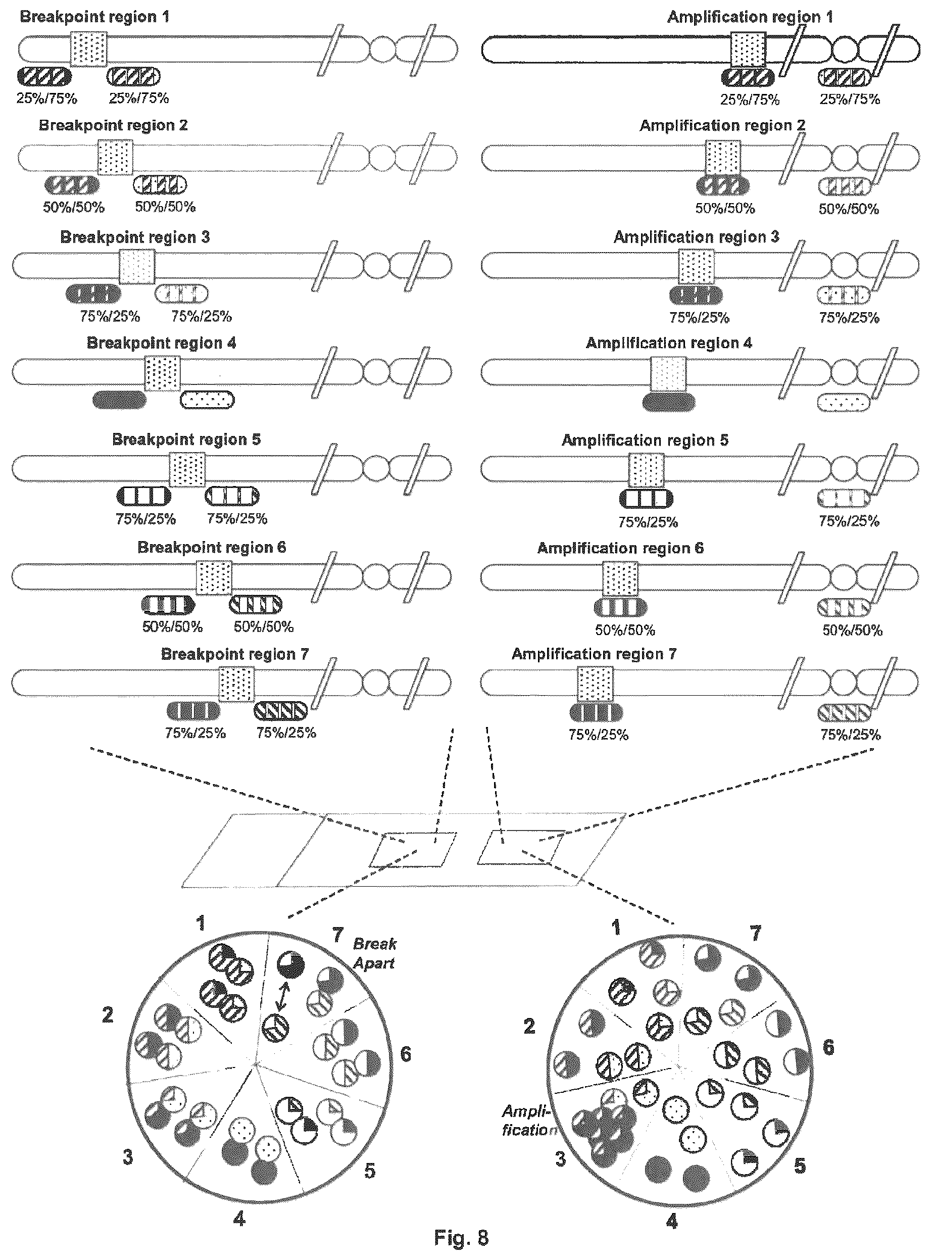 Patent US12312635 Figure 8 – Method for detecting chromosomal abnormalities