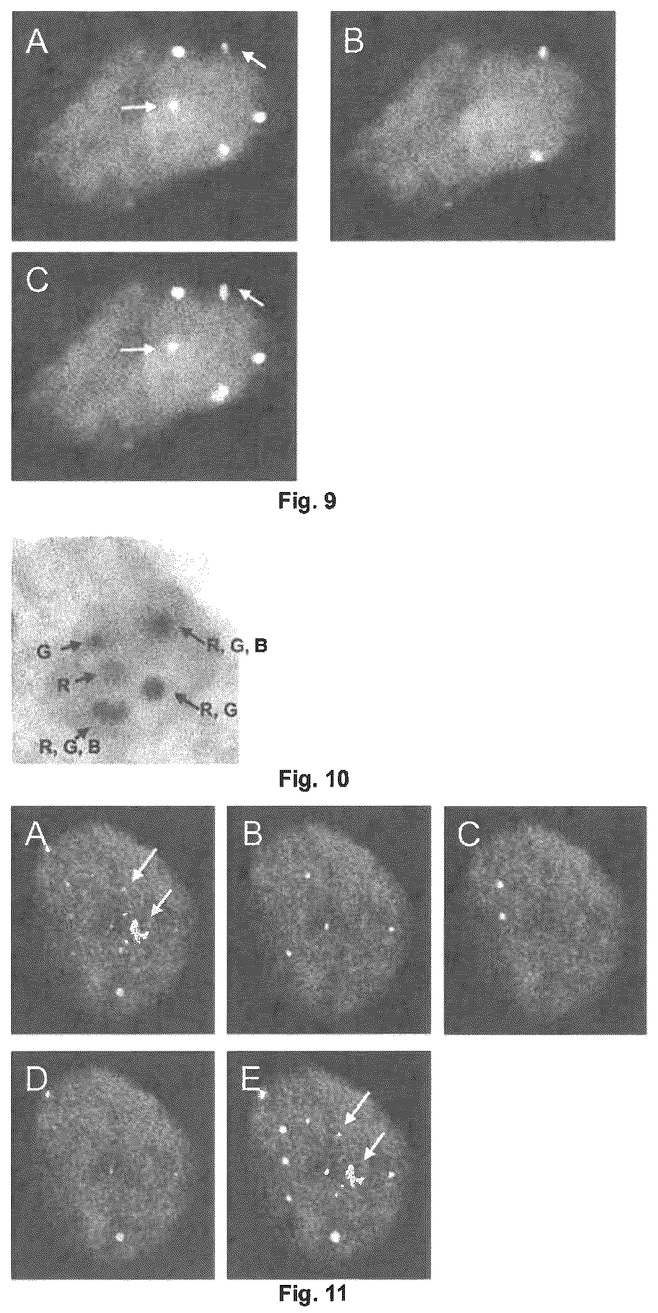 Patent US12312635 Figure 9 – Method for detecting chromosomal abnormalities