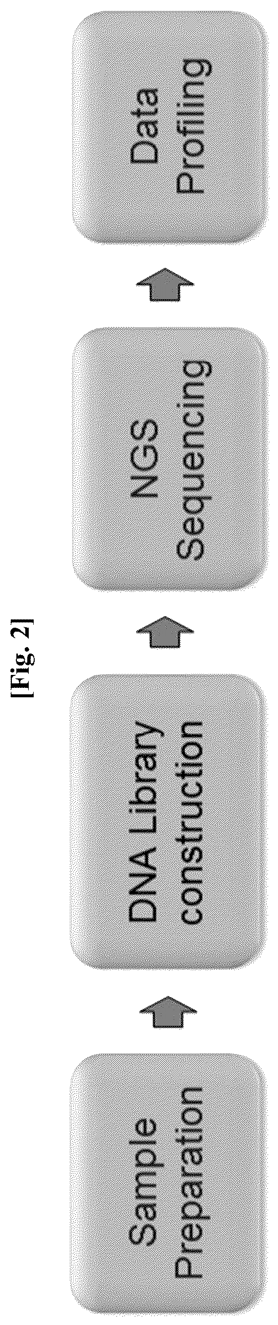 Patent US12312636 Figure 3 – Nanovesicles derived from genus Bacillus bacteria and use thereof