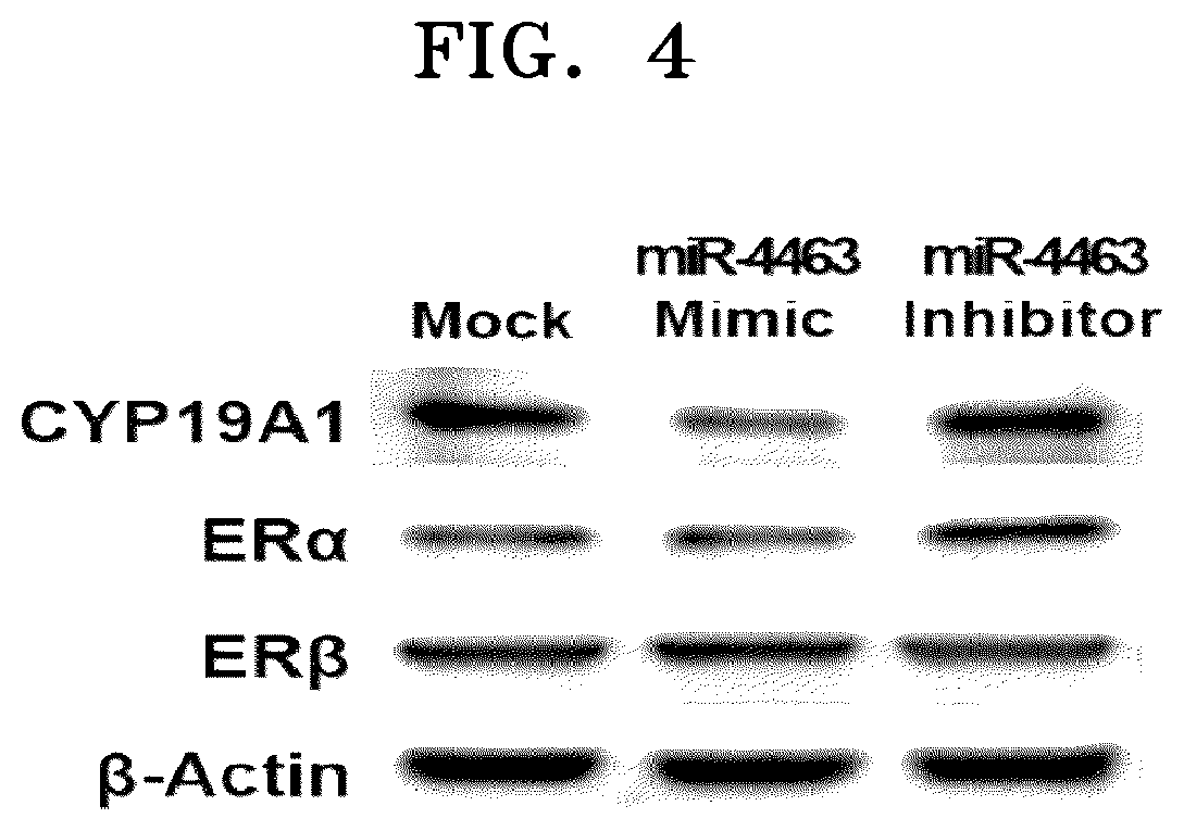 Patent US12312638 Figure 4 – Biomarker for diagnosing or predicting reactivity of ovary to FSH and use thereof