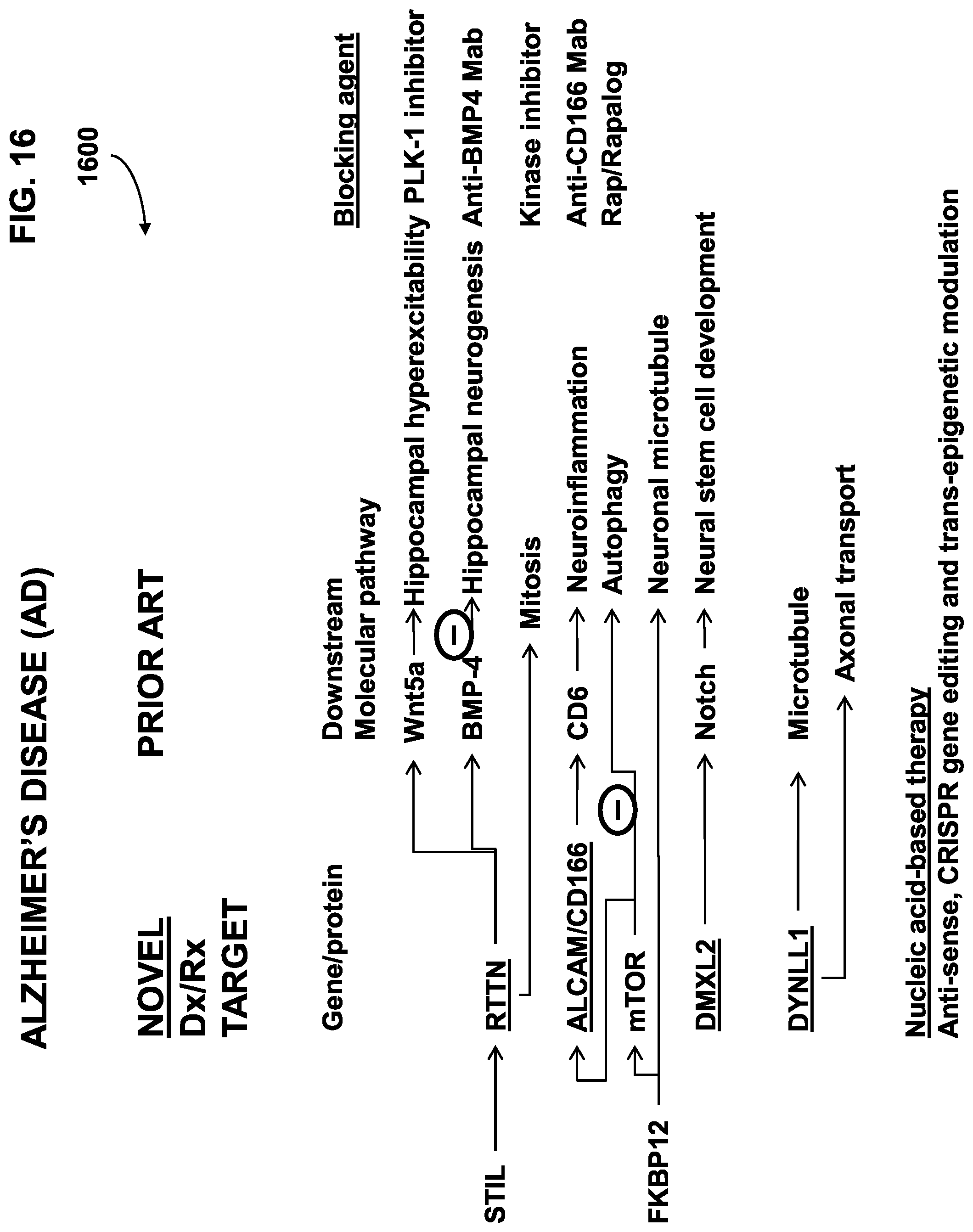 Patent US12312639 Figure 16 – Alzheimer's disease personalized medicine