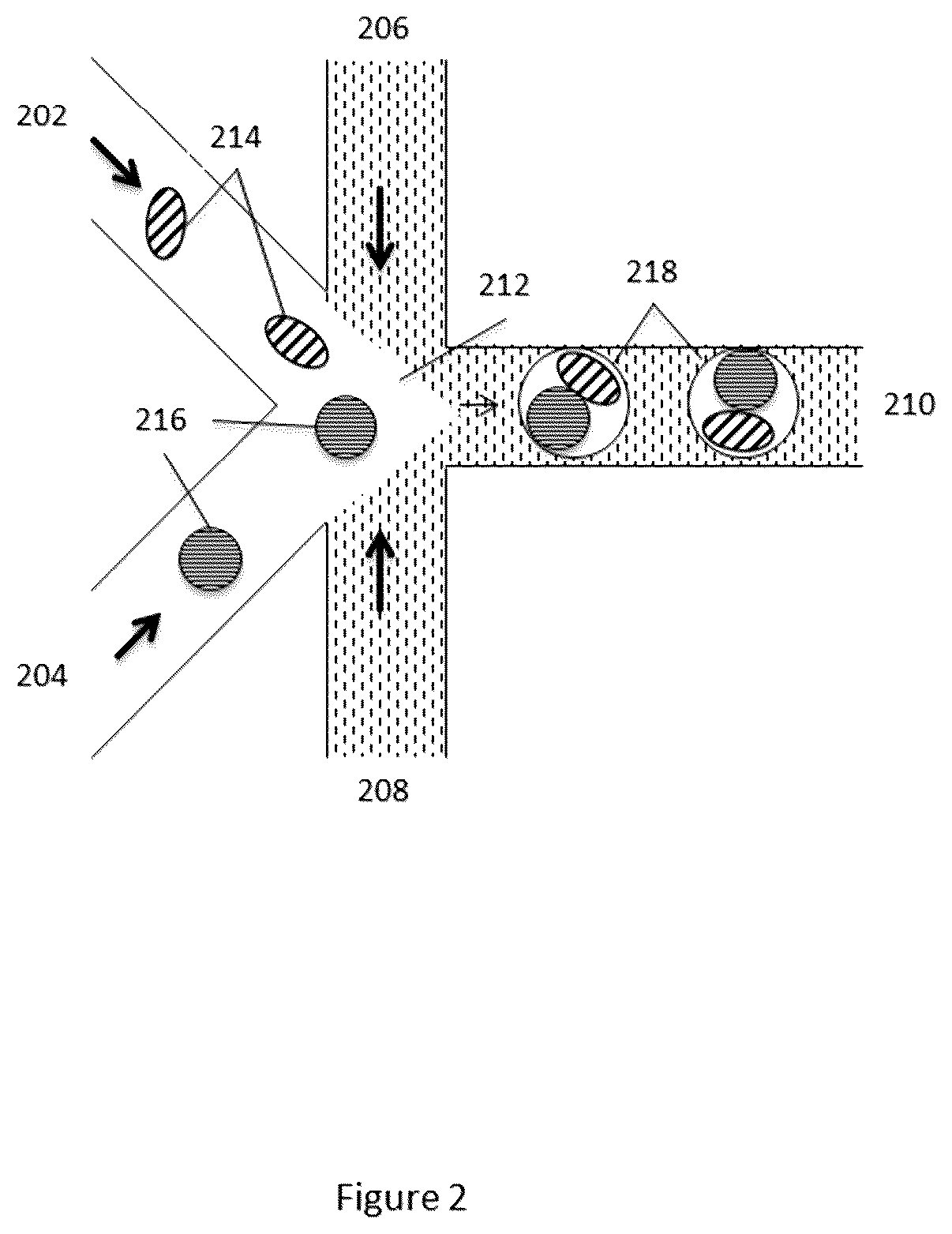 Patent US12312640 Figure 2 – Analysis of nucleic acid sequences