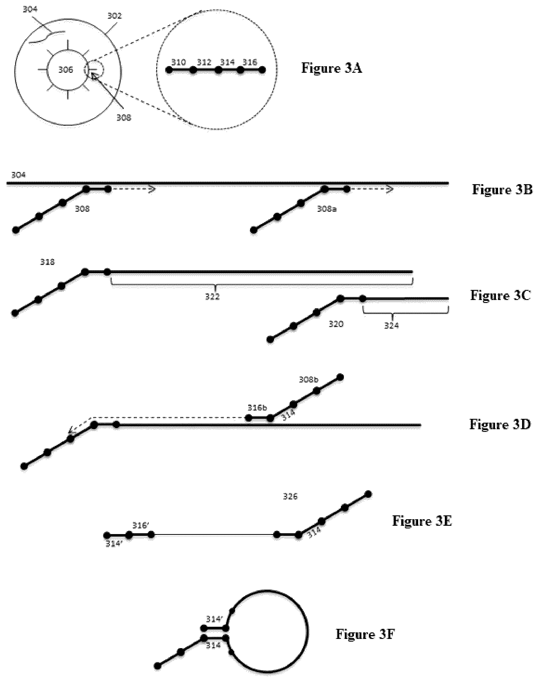 Patent US12312640 Figure 3 – Analysis of nucleic acid sequences