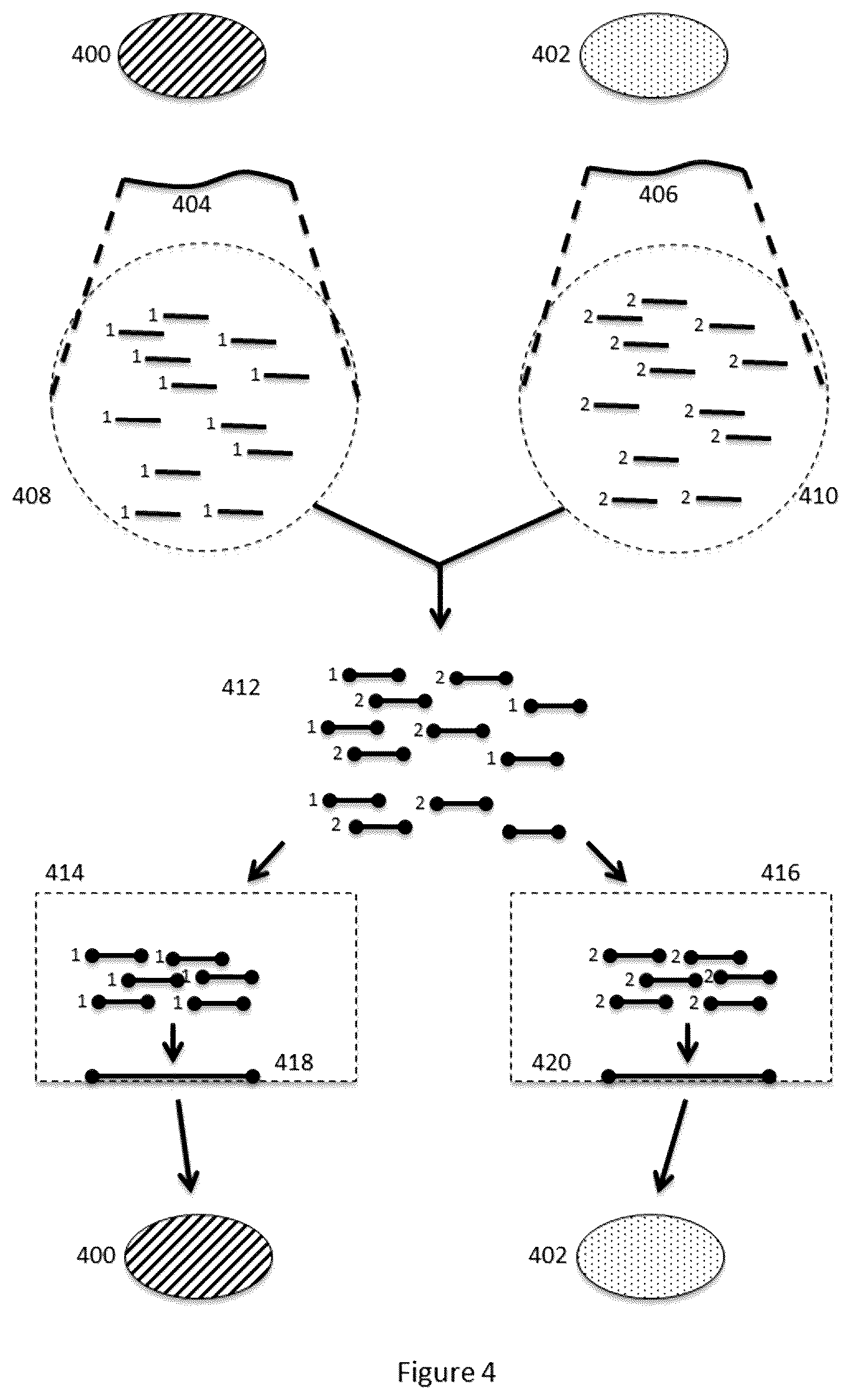 Patent US12312640 Figure 4 – Analysis of nucleic acid sequences